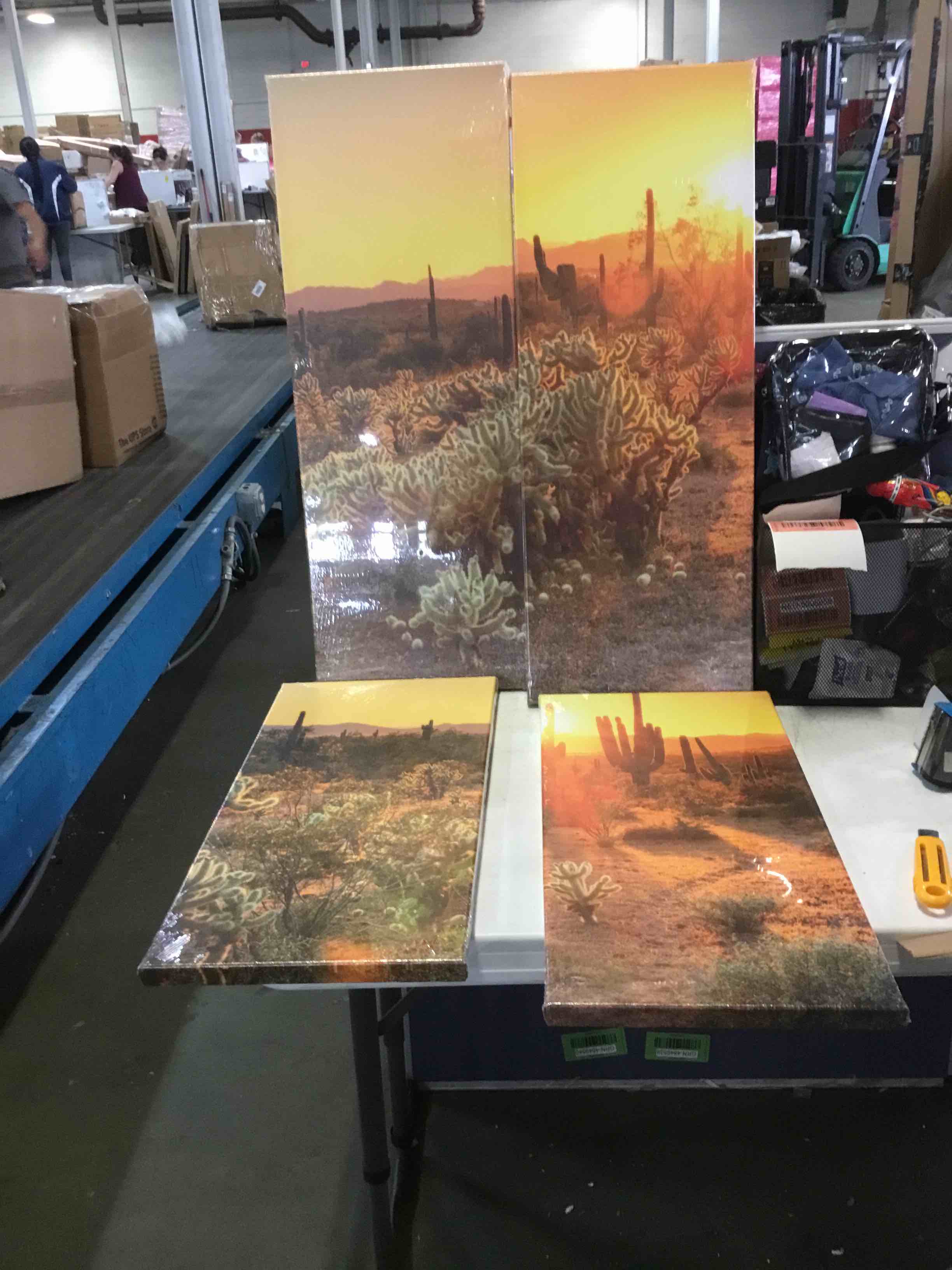 Yeilnm sunset cactus ready to hang set of 4