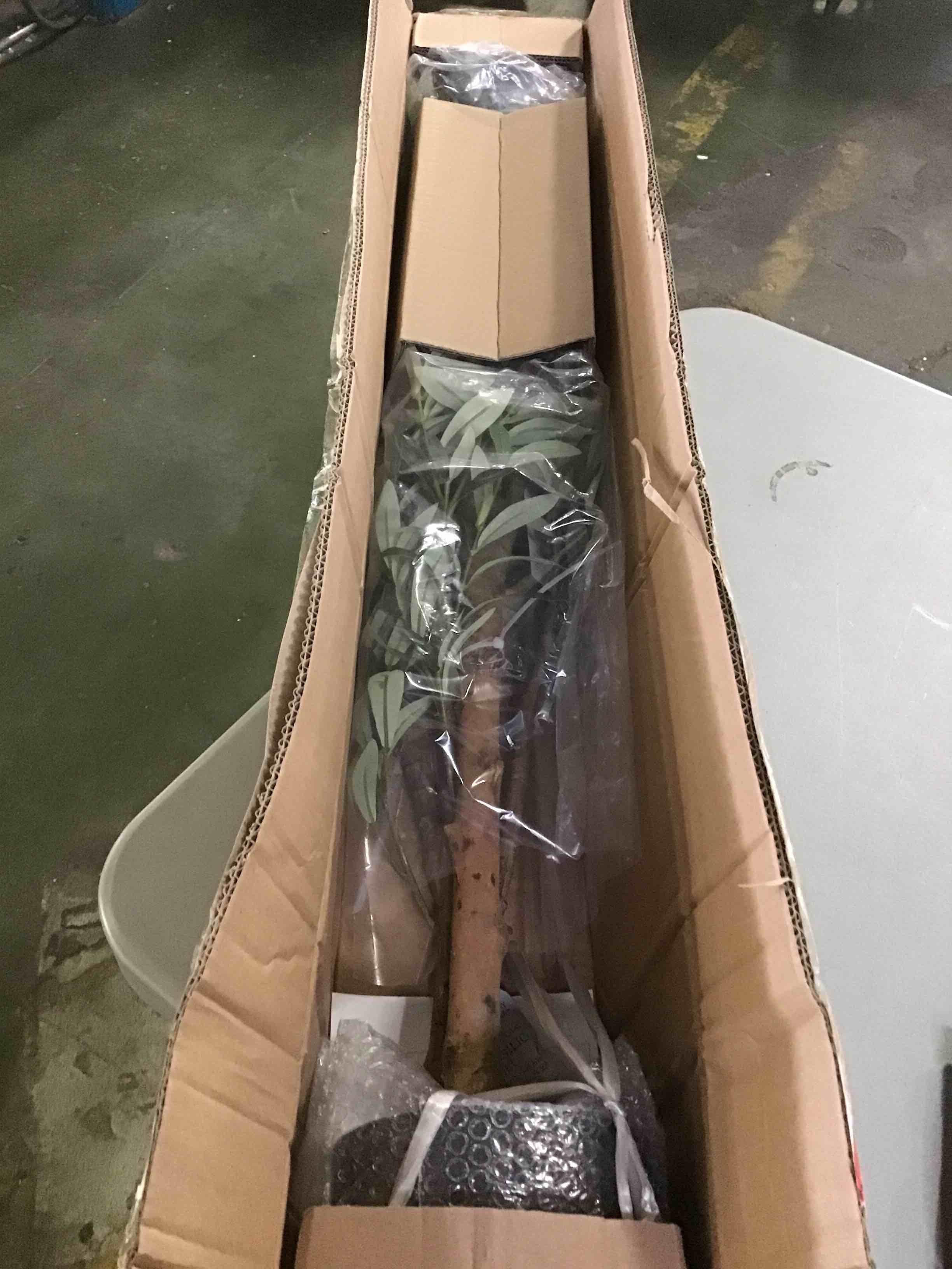 https://s3.amazonaws.com/lotting-images-prod/bidfta/RED5014757_1695838407368.jpeg