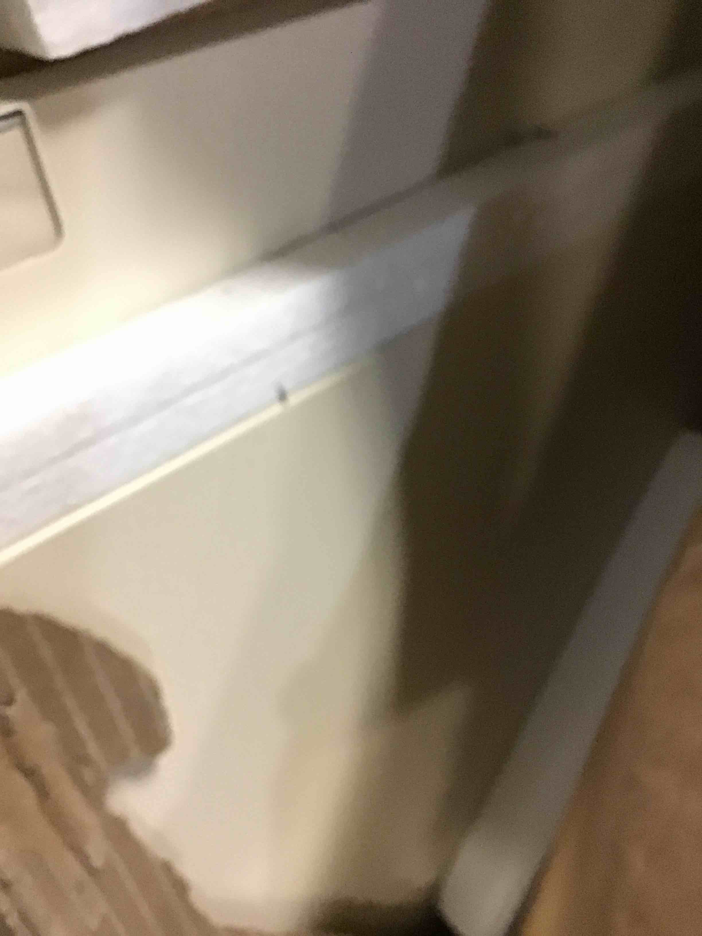 https://s3.amazonaws.com/lotting-images-prod/bidfta/RED5064644_1694529141007.jpeg