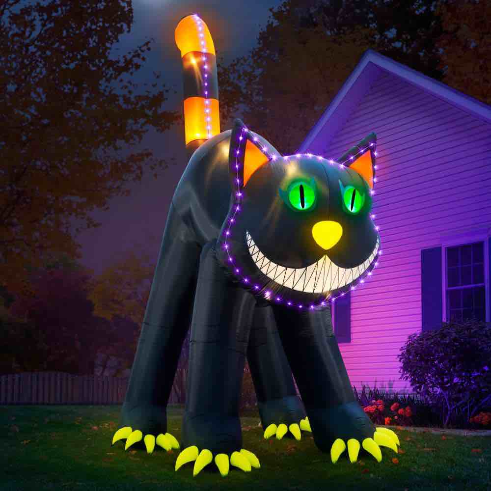 The 17' Blinking Black Cat