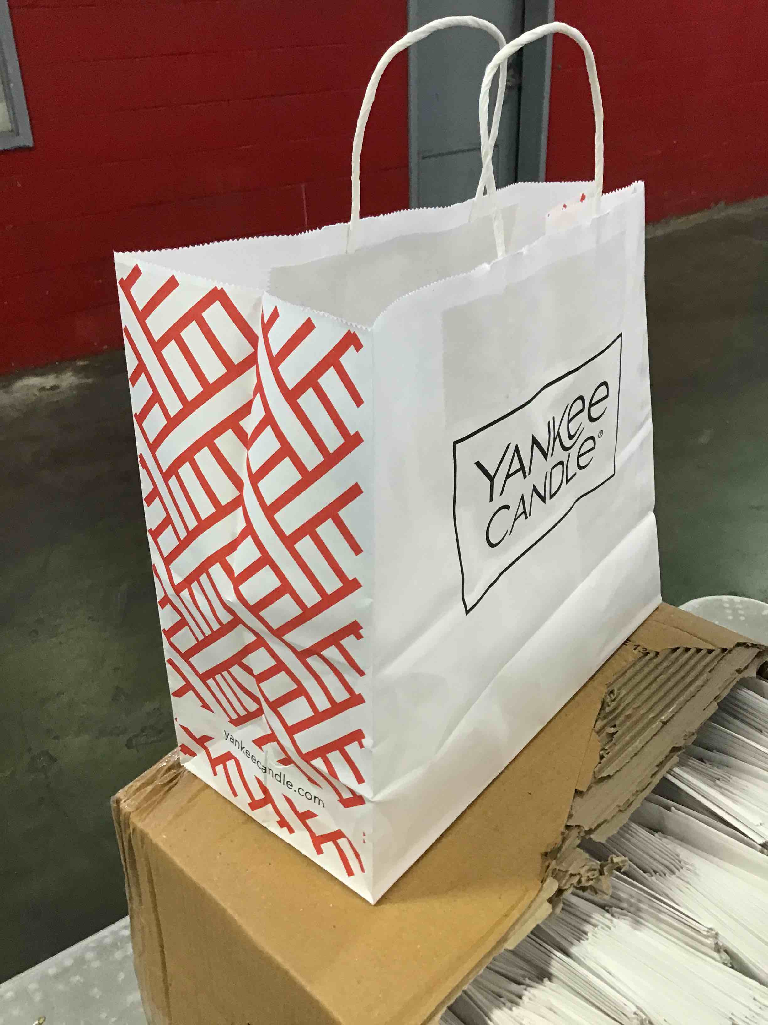 Large Carry Bags White 13x16x12.5 in W Twisted Handles (250 Count)