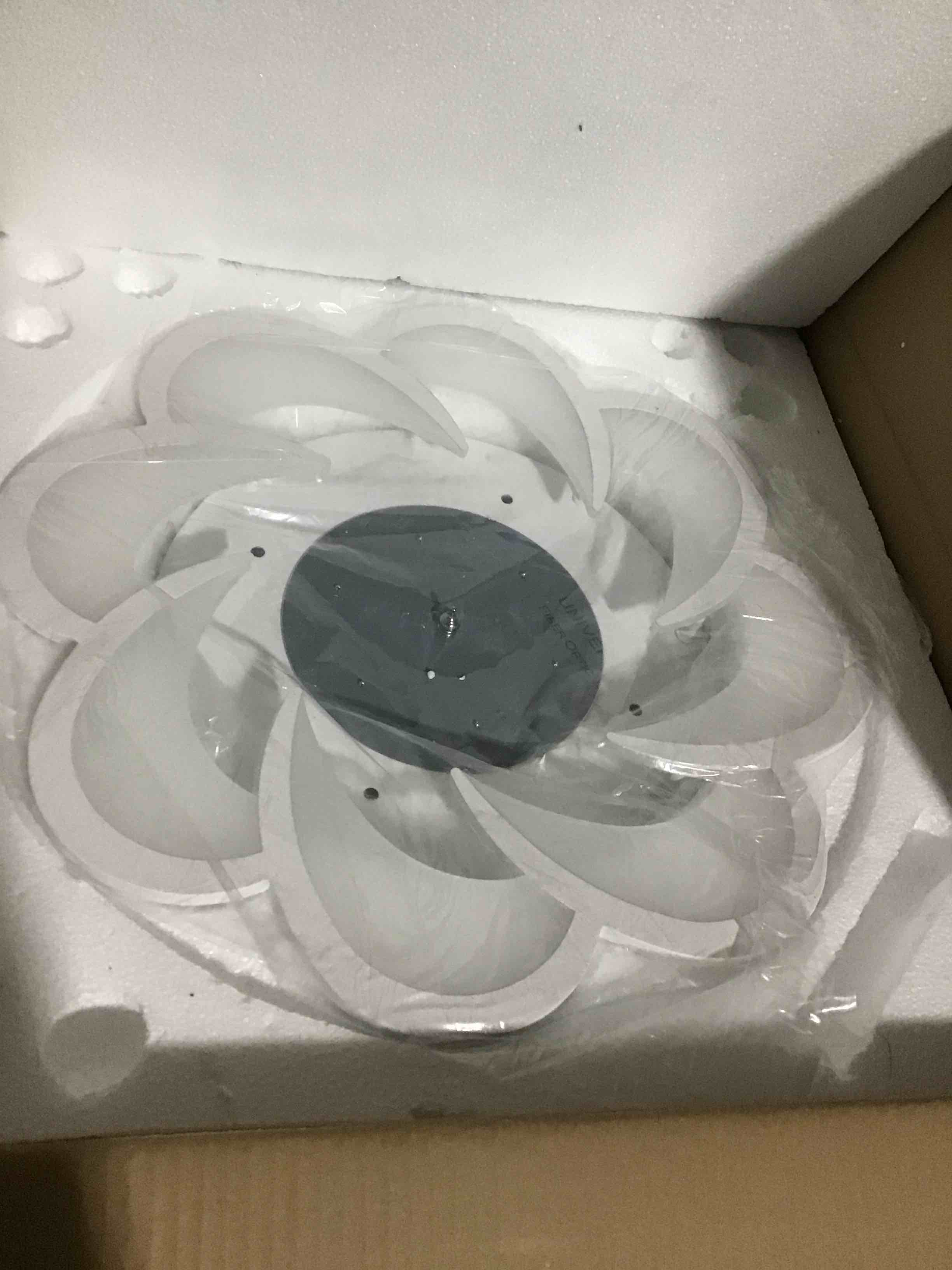https://s3.amazonaws.com/lotting-images-prod/bidfta/RED5100468_1705935291918.jpeg