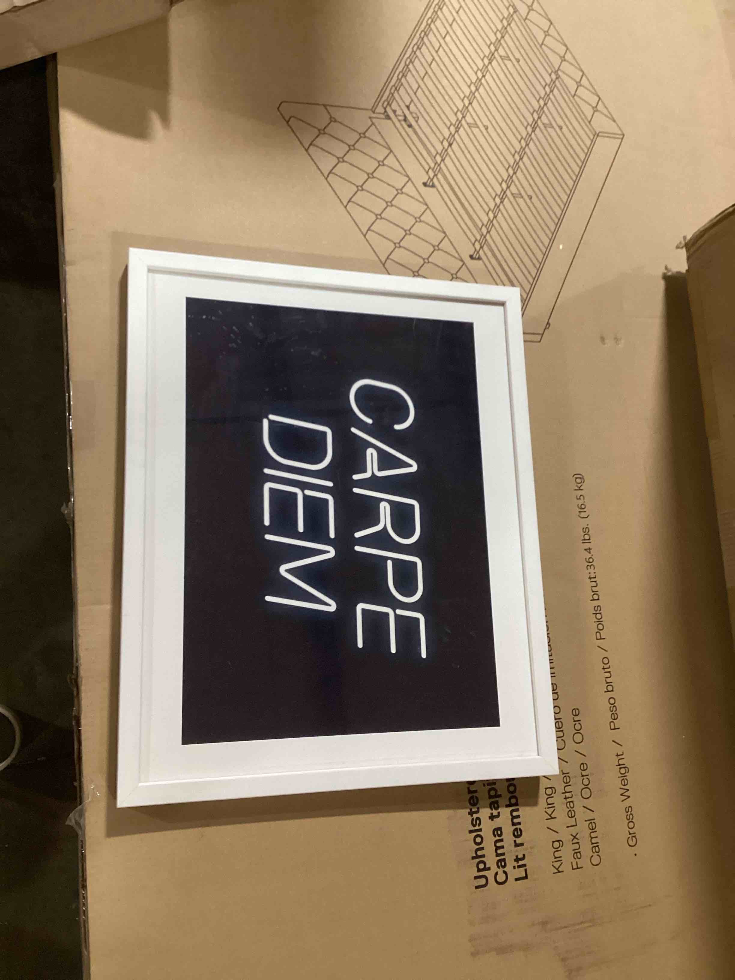 Carpe Diem Framed Wall Art