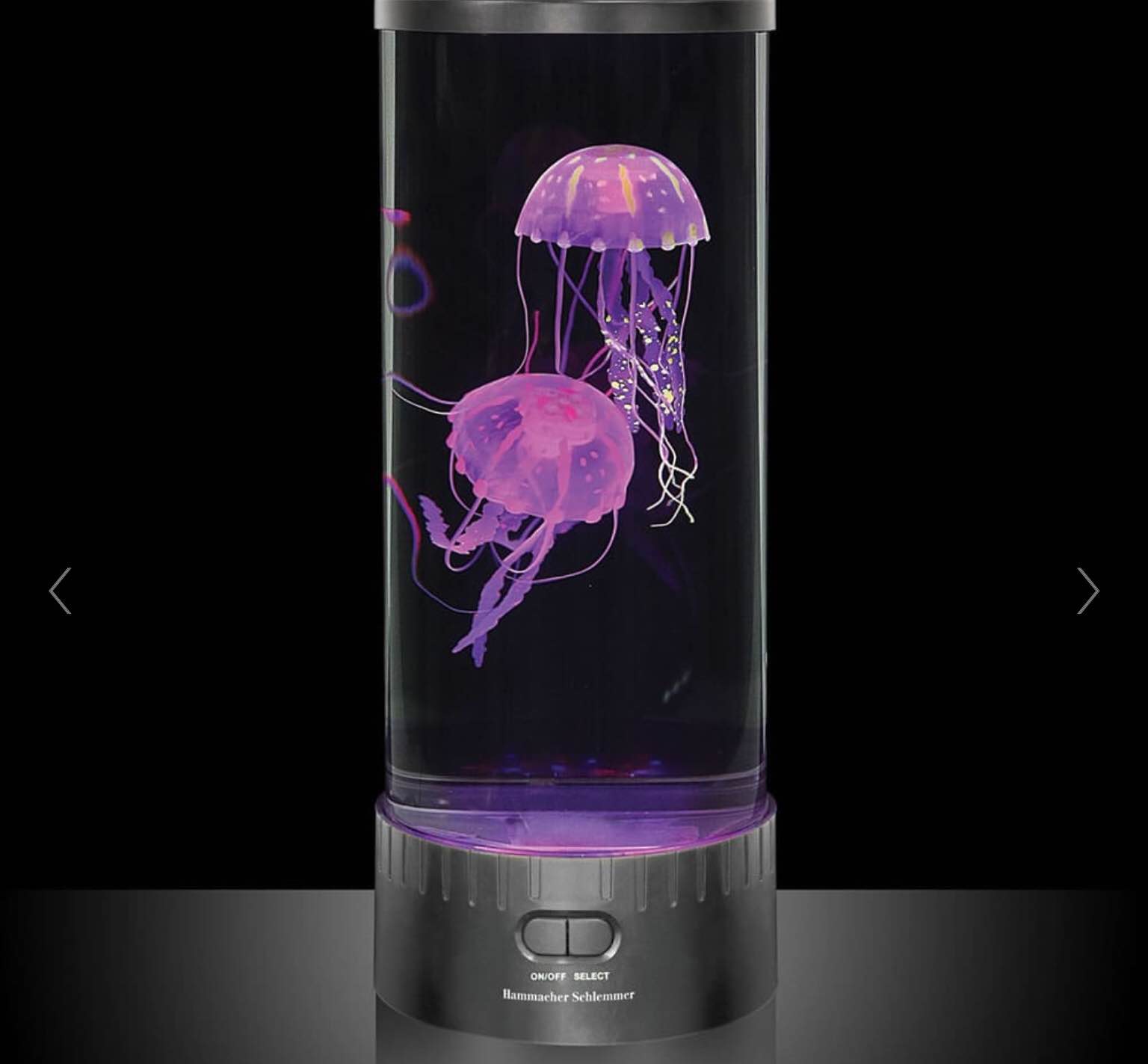 The Hypnotic Jellyfish Aquarium