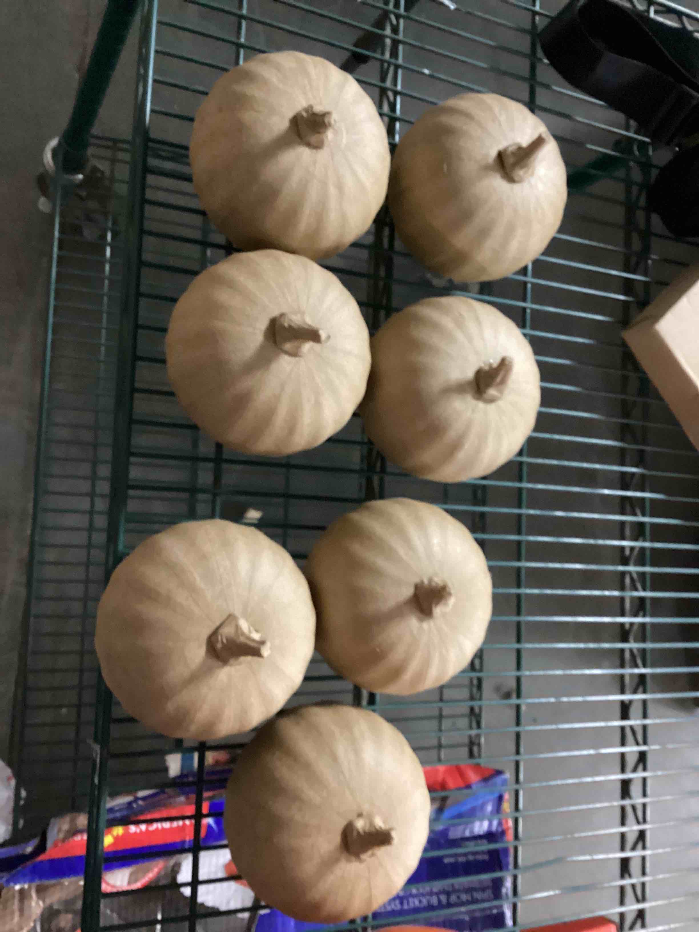 Decorative pumpkins artificial