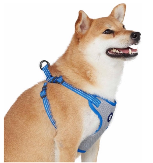 Blueberry Pet Essentials Harness Medium, Blue