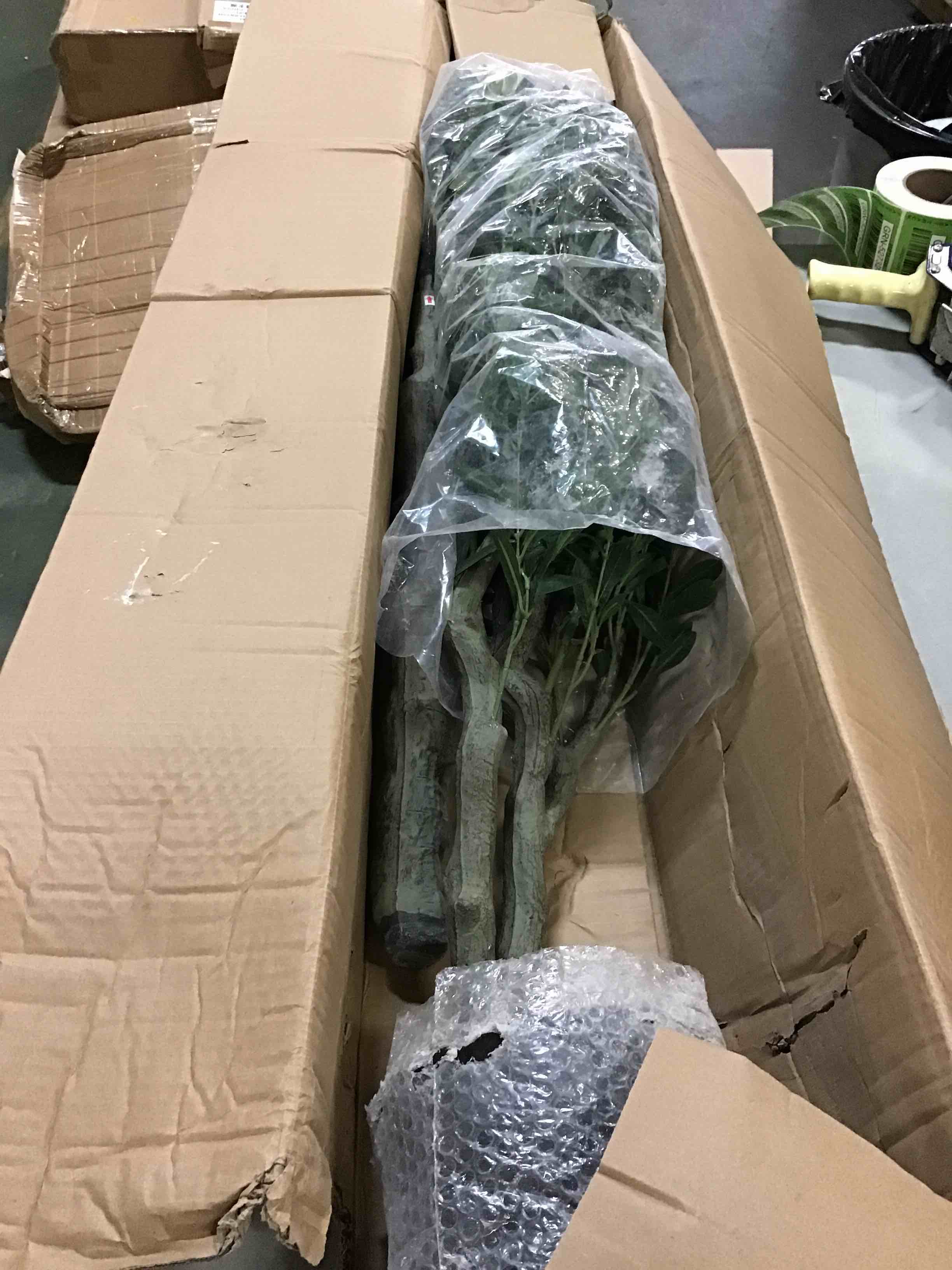https://s3.amazonaws.com/lotting-images-prod/bidfta/RED5241862_1690983667978.jpeg
