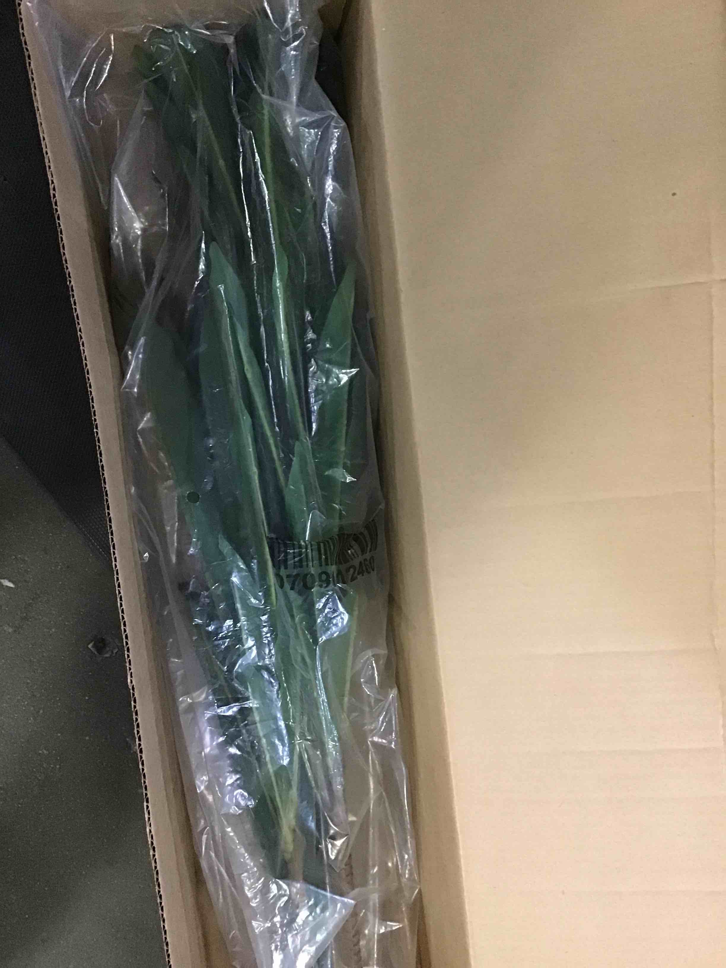 https://s3.amazonaws.com/lotting-images-prod/bidfta/RED5242864_1692209797111.jpeg