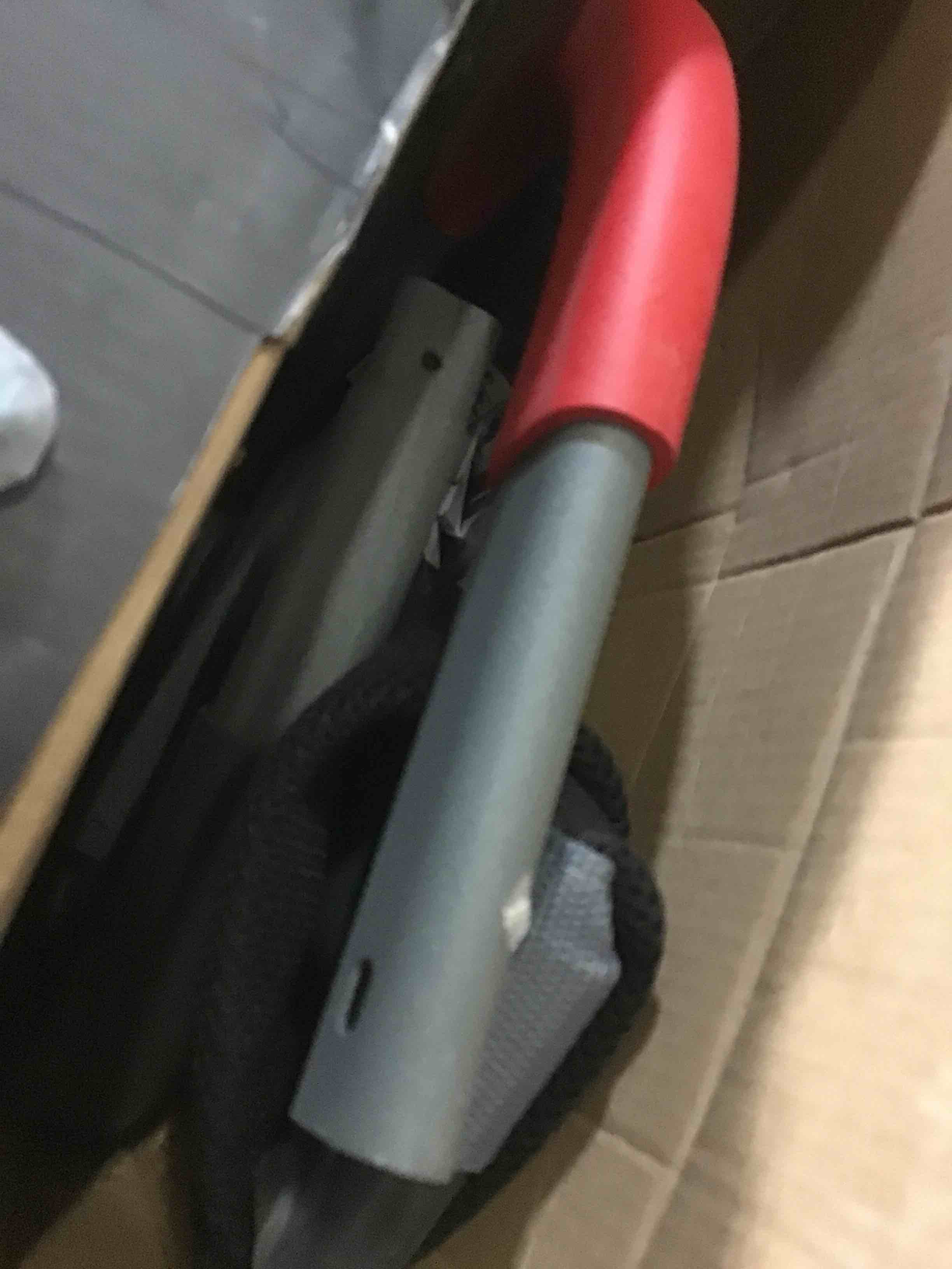 https://s3.amazonaws.com/lotting-images-prod/bidfta/RED5264452_1695036339822.jpeg