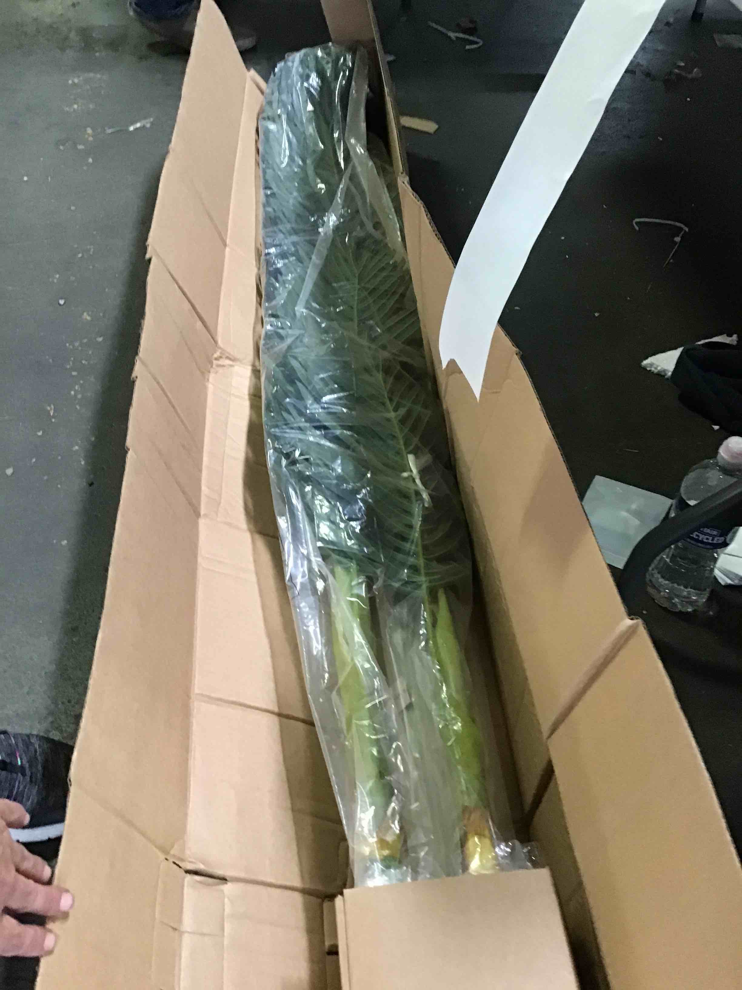 https://s3.amazonaws.com/lotting-images-prod/bidfta/RED5265602_1694633003665.jpeg