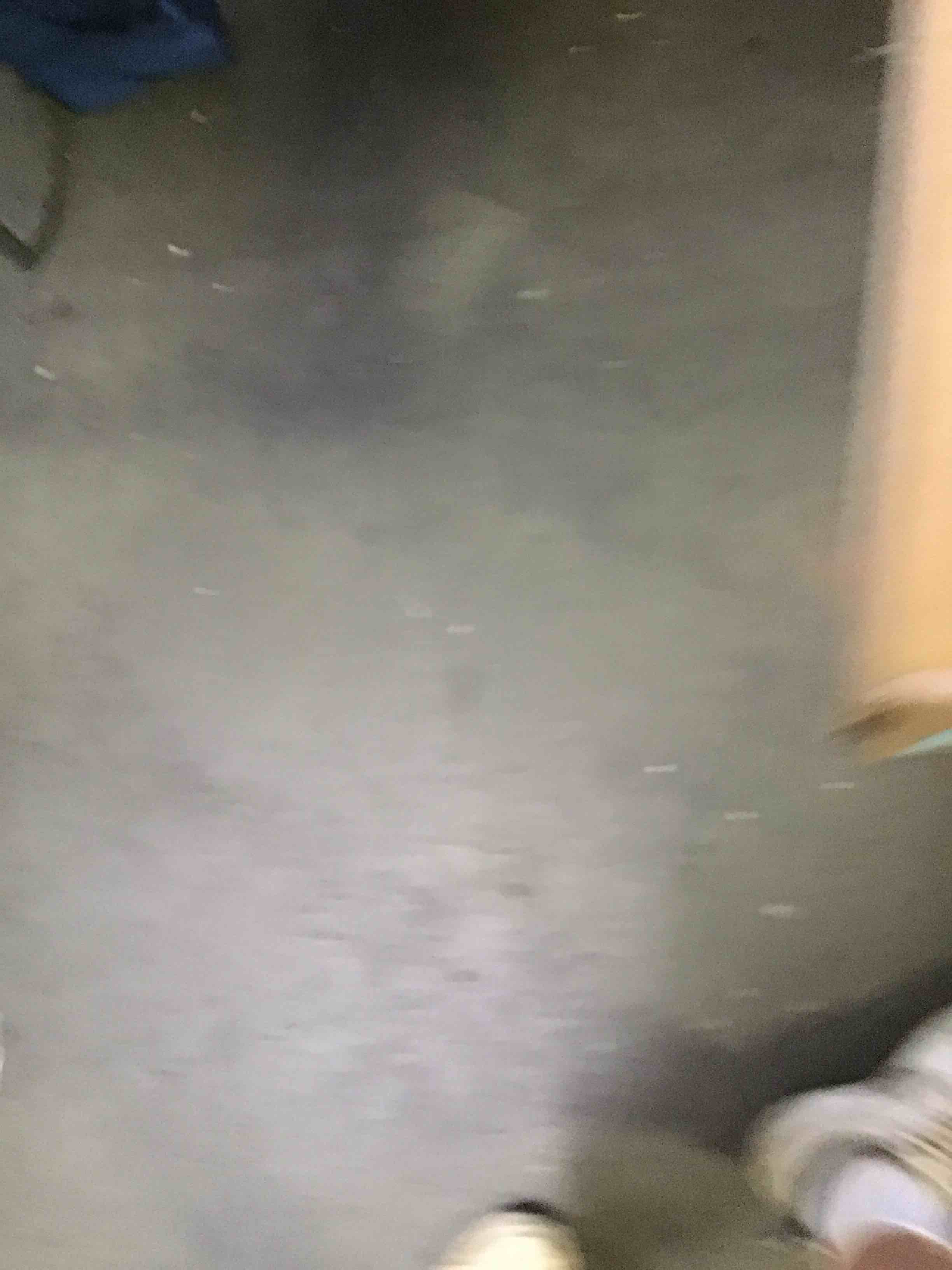 https://s3.amazonaws.com/lotting-images-prod/bidfta/RED5265711_1694784509900.jpeg