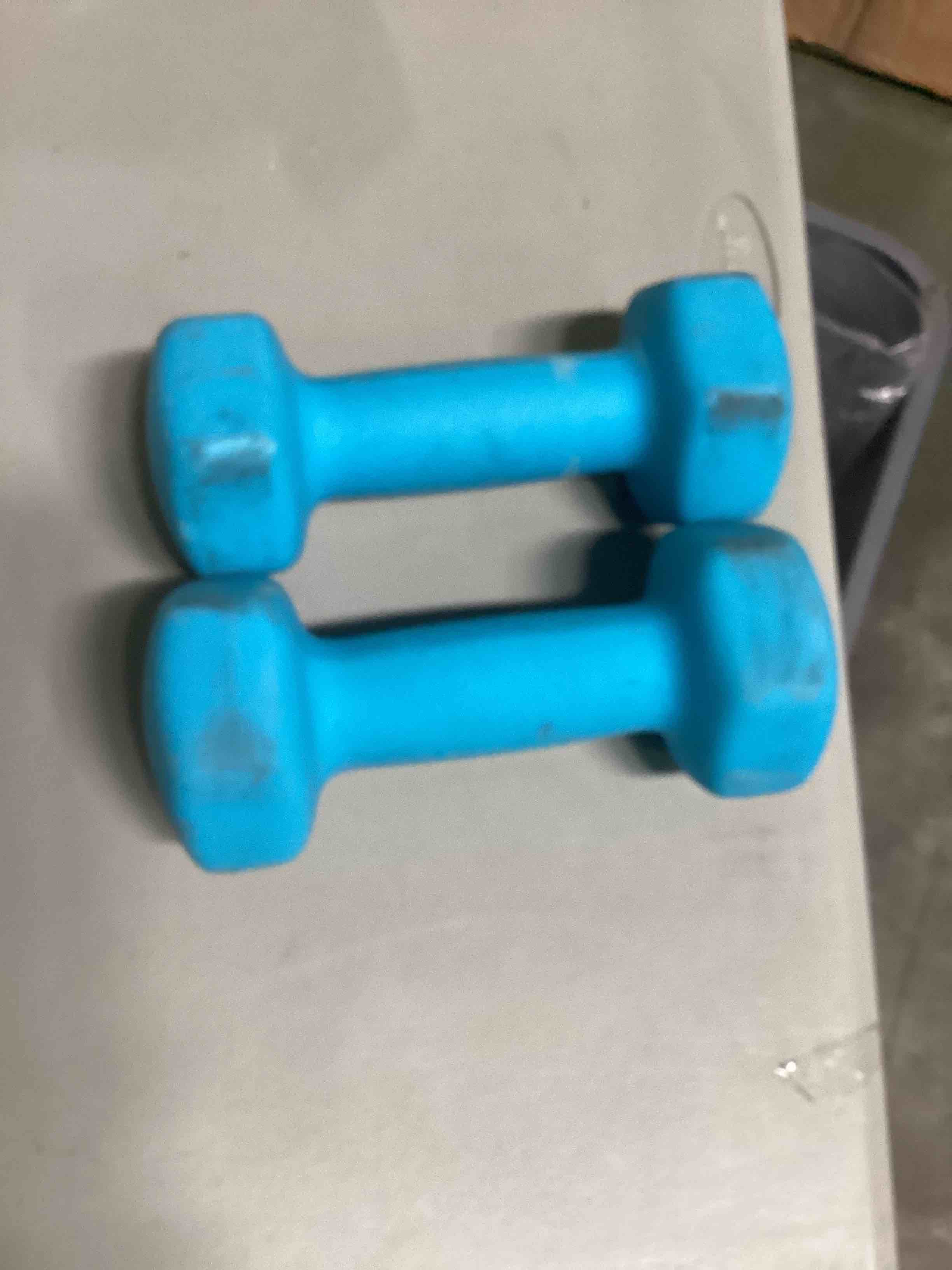 2 pieces  vinyl dumbbell  set blue 