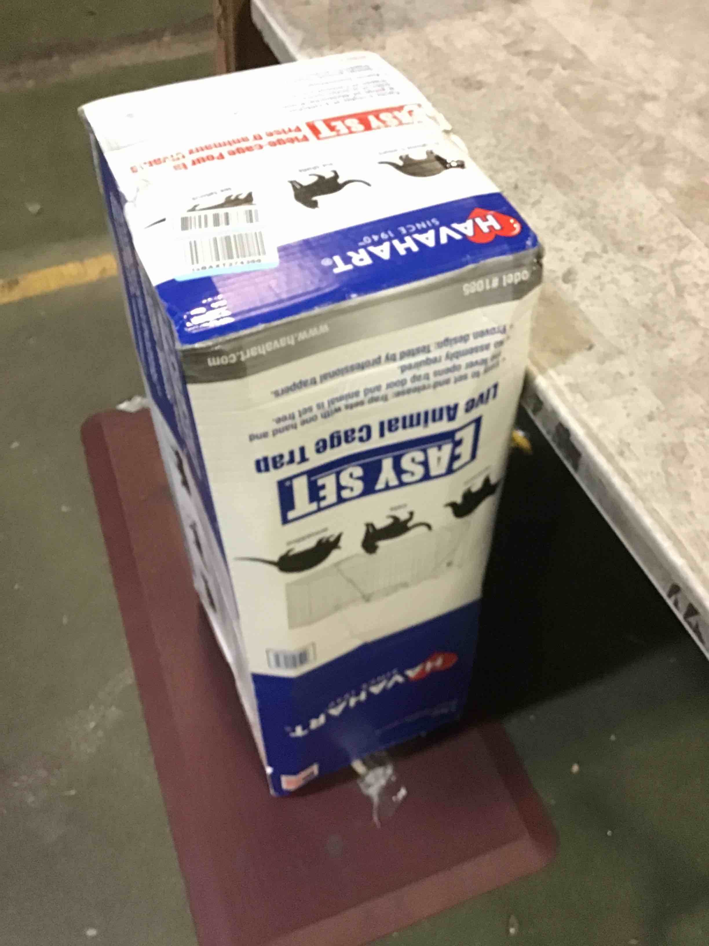 https://s3.amazonaws.com/lotting-images-prod/bidfta/RED5275683_1696250798998.jpeg