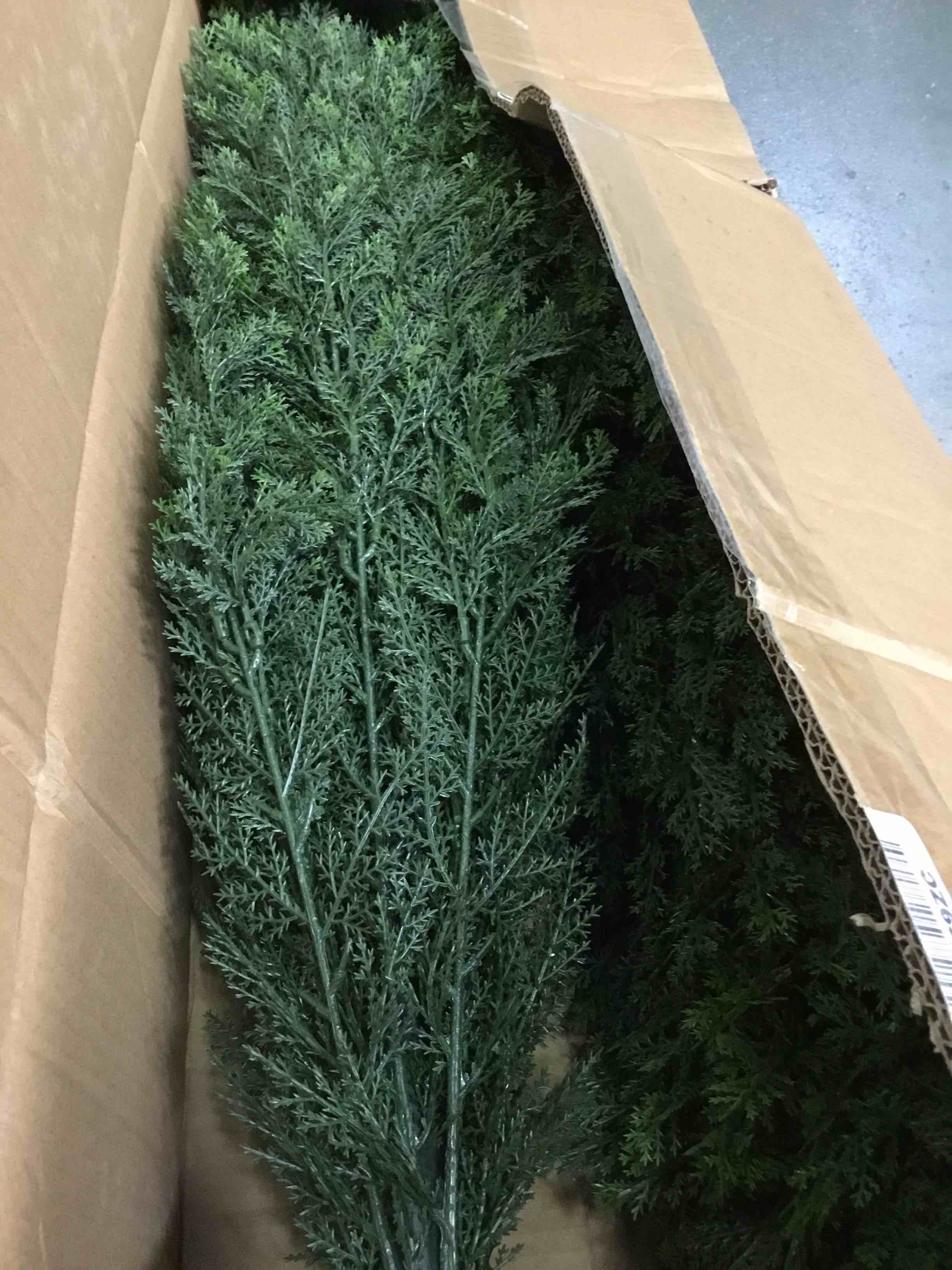 https://s3.amazonaws.com/lotting-images-prod/bidfta/RED5293918_1704306249524.jpeg
