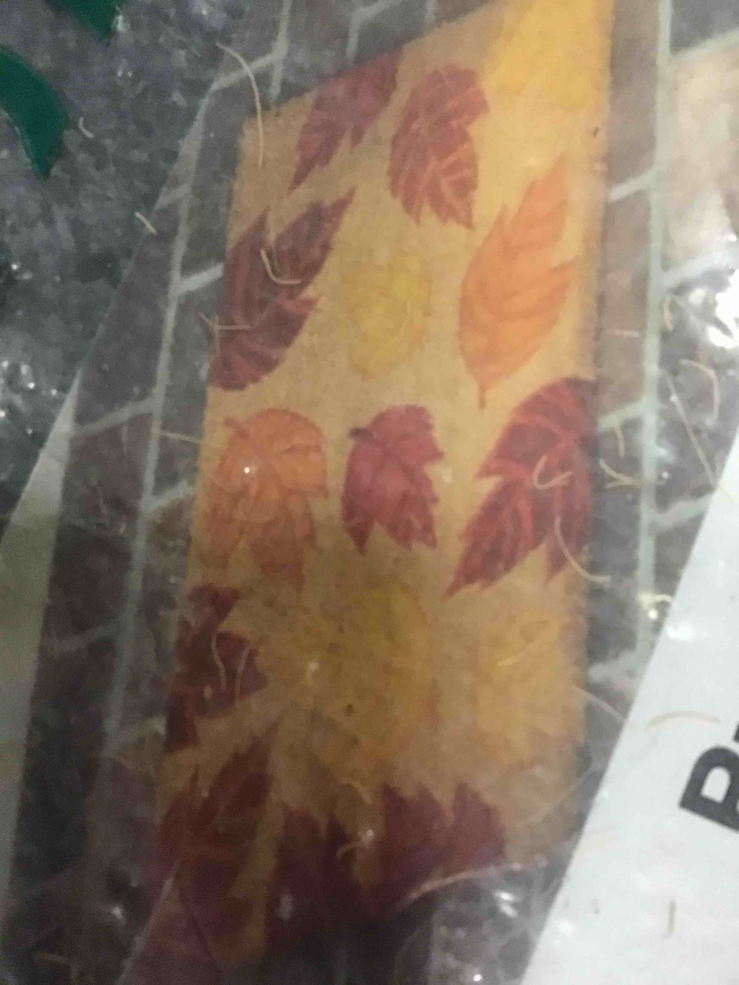 1.5 x 2.5 Ft Doormat Collection, DM-DCM14-Multi