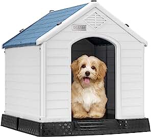 Destar Dog House 