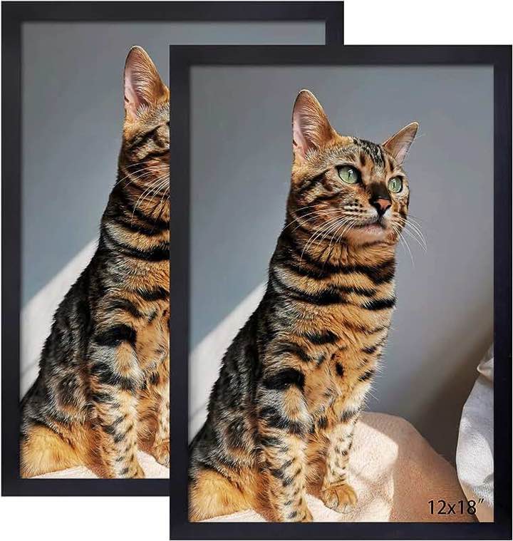 Xiangzhen 12x18 Inch Picture Frame Poster Frames Set of 2 ,Made of Soild Wood Wall Mount Vertically or Horizontally 12" x 18" Photo Frame Black