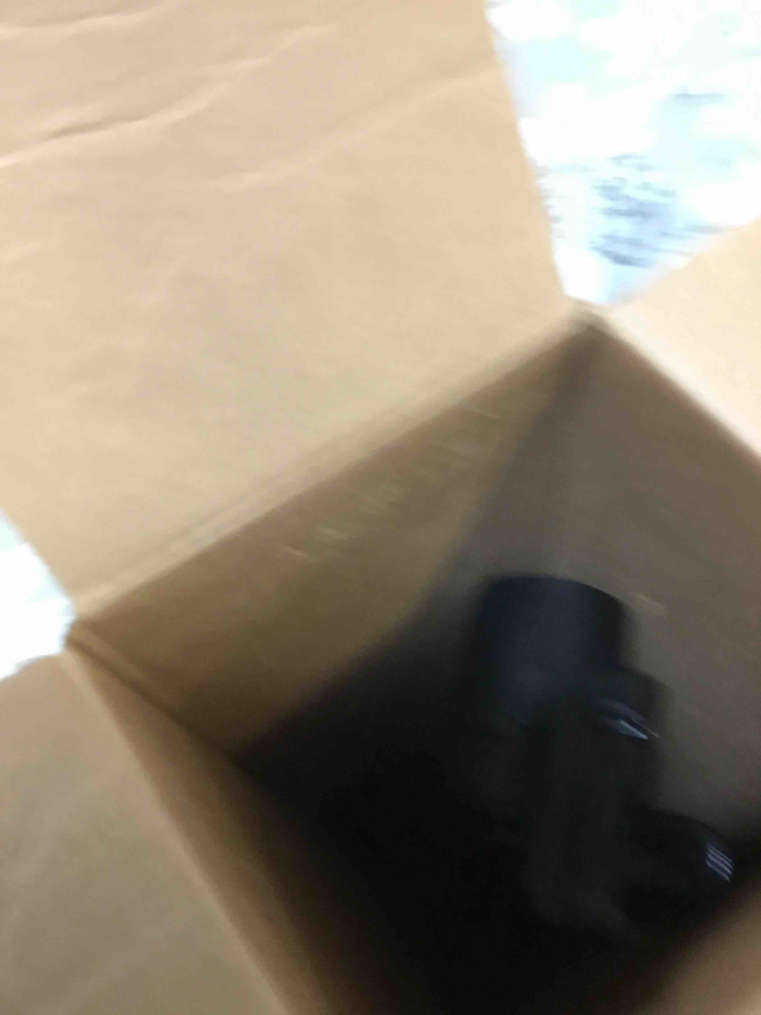 https://s3.amazonaws.com/lotting-images-prod/bidfta/RED5366057_1690976604559.jpeg