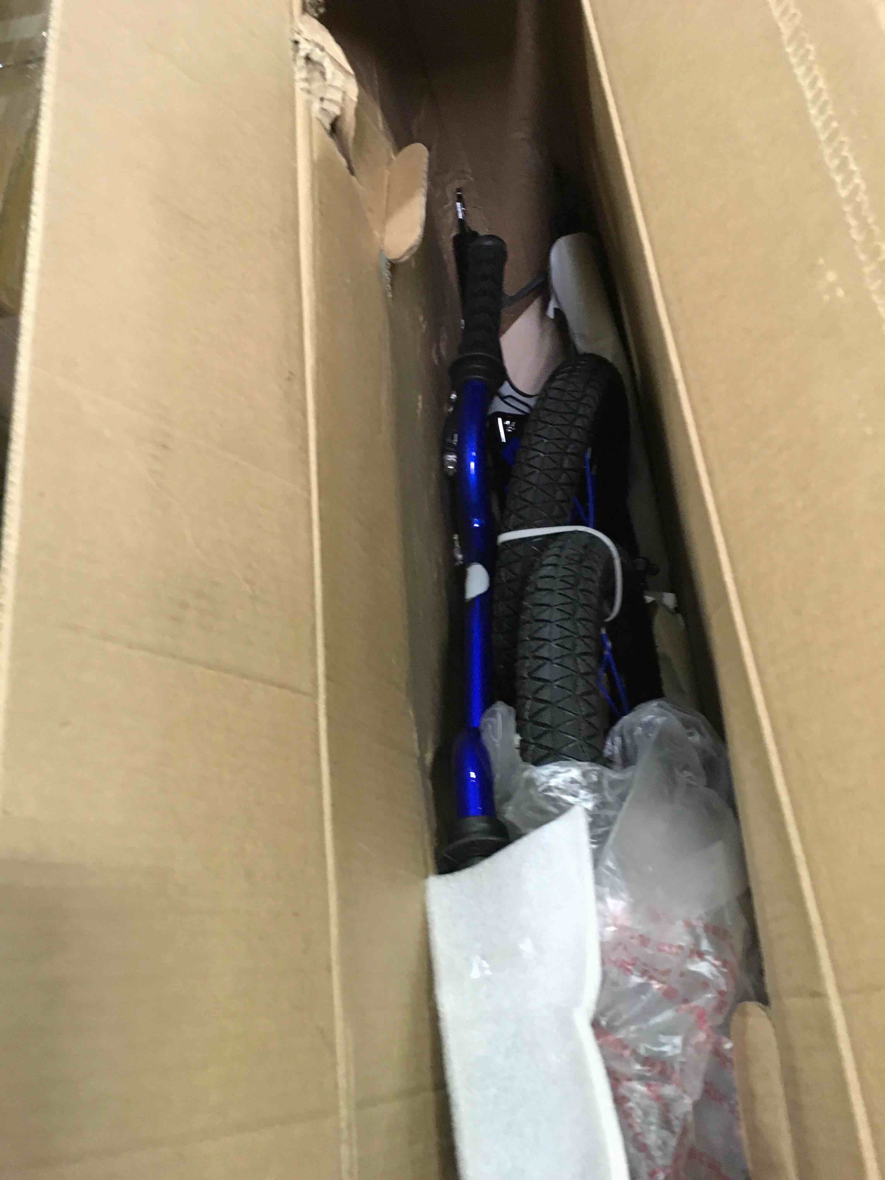 https://s3.amazonaws.com/lotting-images-prod/bidfta/RED5367391_1692188847574.jpeg