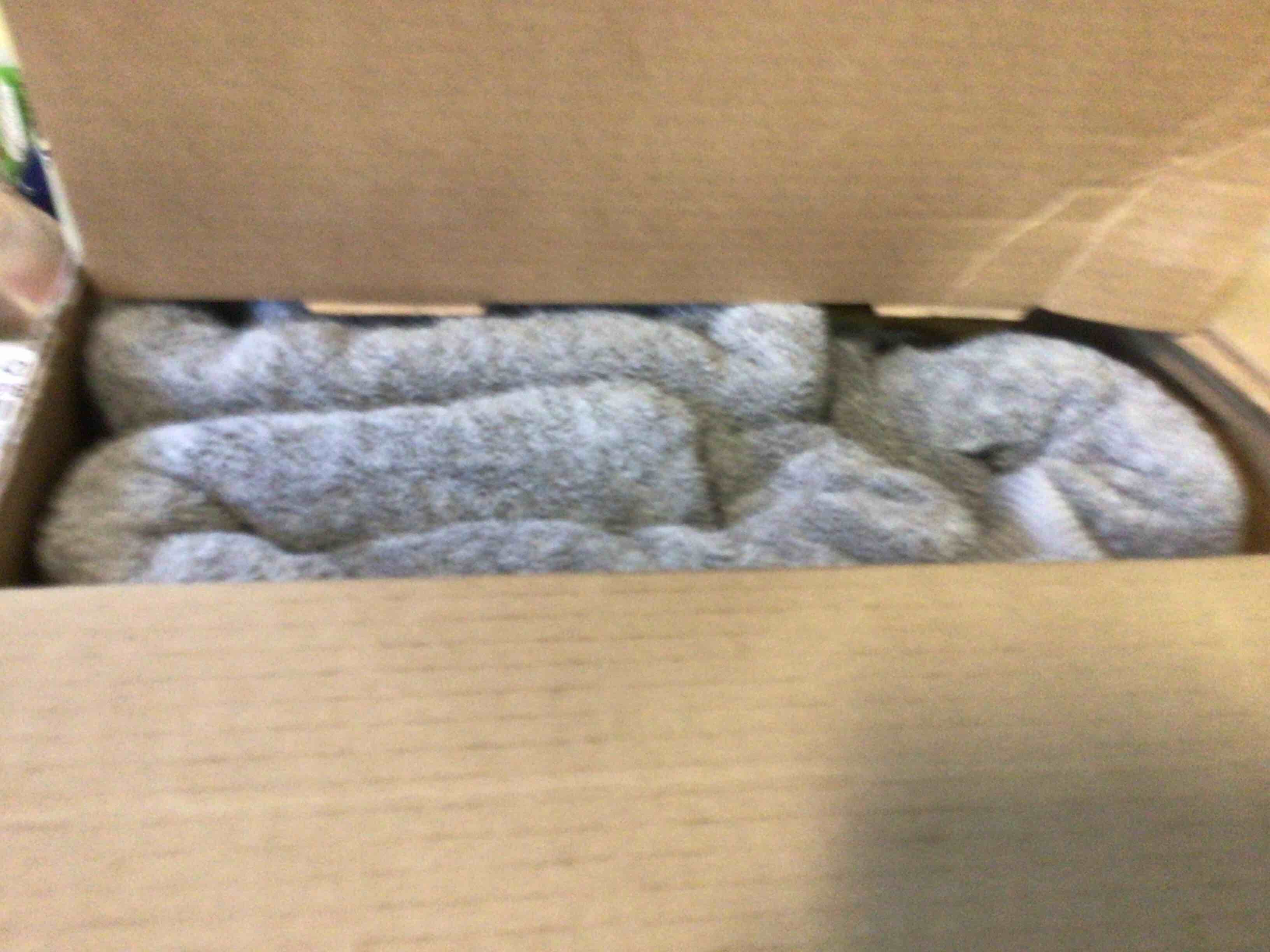 https://s3.amazonaws.com/lotting-images-prod/bidfta/RED5399394_1692270941480.jpeg