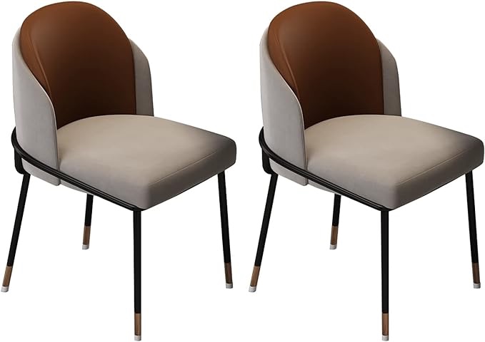 ZWJLIZI (2PCS) Dining Chair, Comfortable upholstered Back Chair, Steel Frame Leg Makeup Chair, European-Style Simple Bedroom Lounge Chair