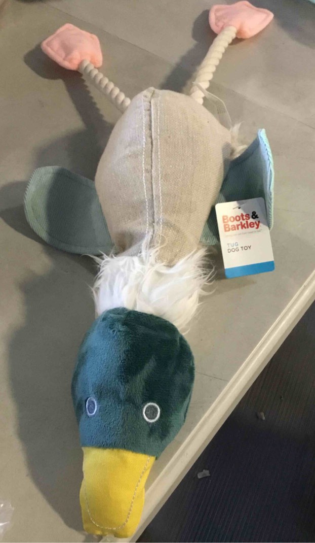 Bird Plush with Rope Dog Toy - M/L - Boots & Barkley™3 Count