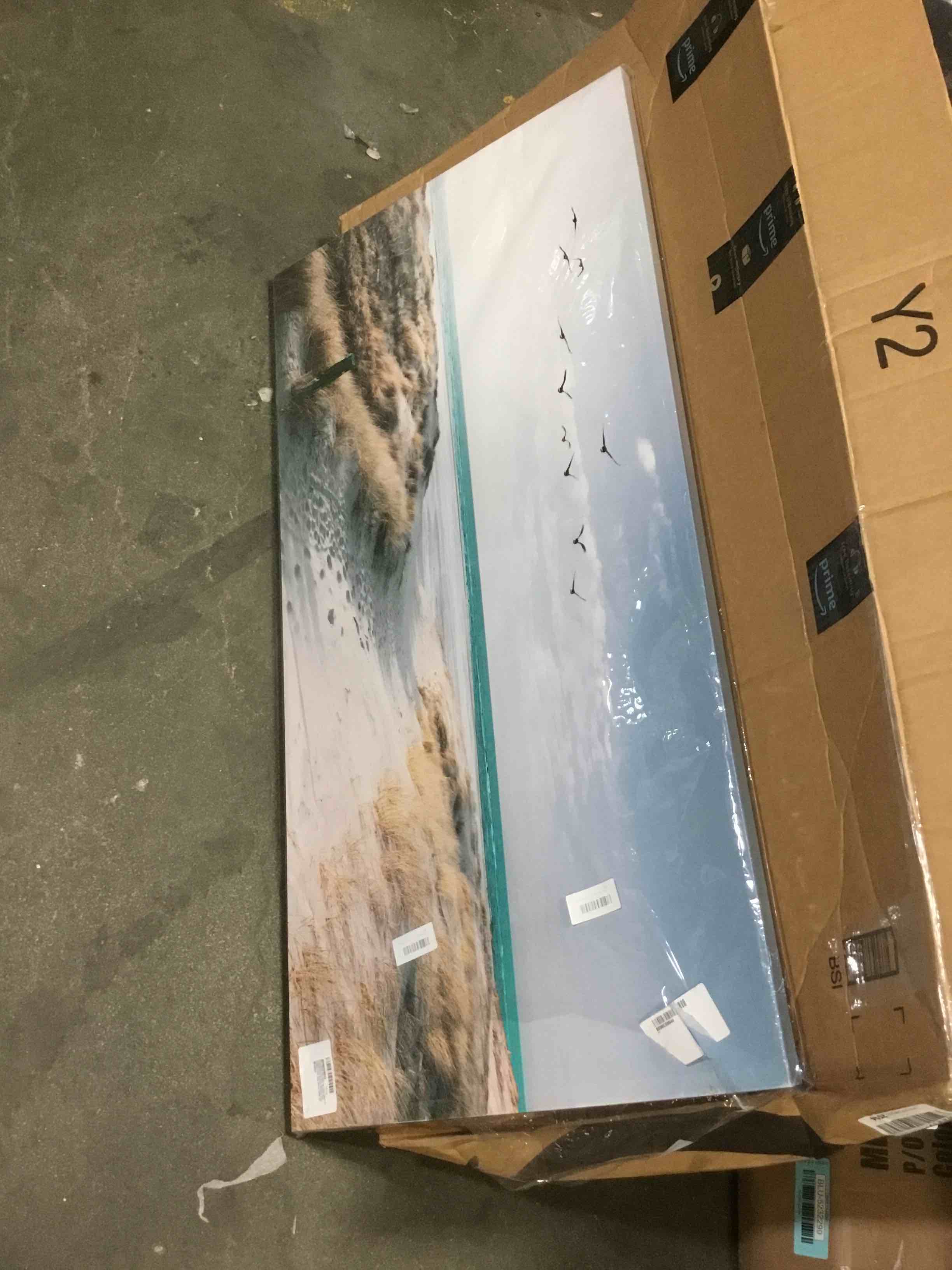https://s3.amazonaws.com/lotting-images-prod/bidfta/RED5484209_1700574929847.jpeg