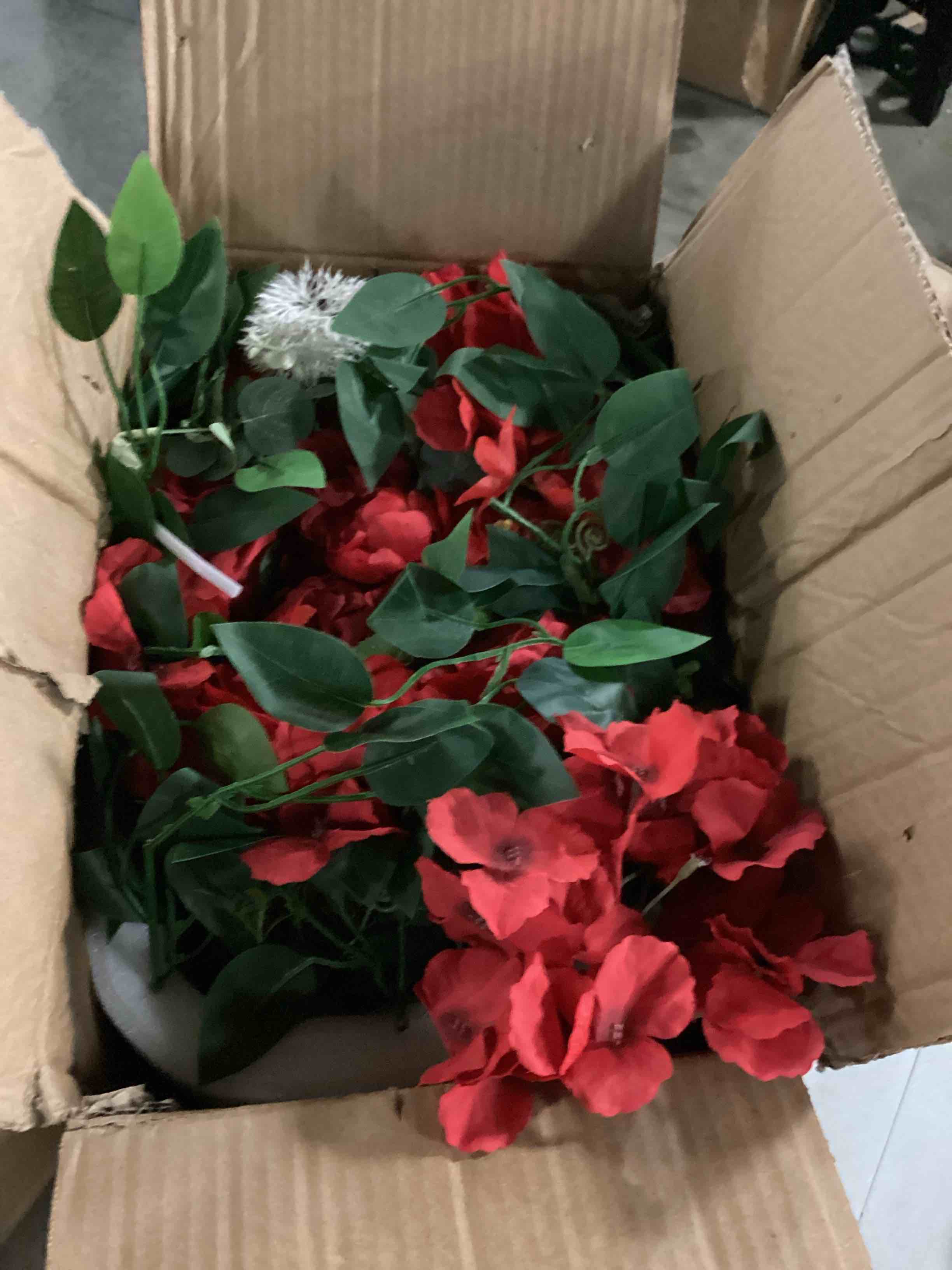 https://s3.amazonaws.com/lotting-images-prod/bidfta/RED5519656_1727896581064.jpeg