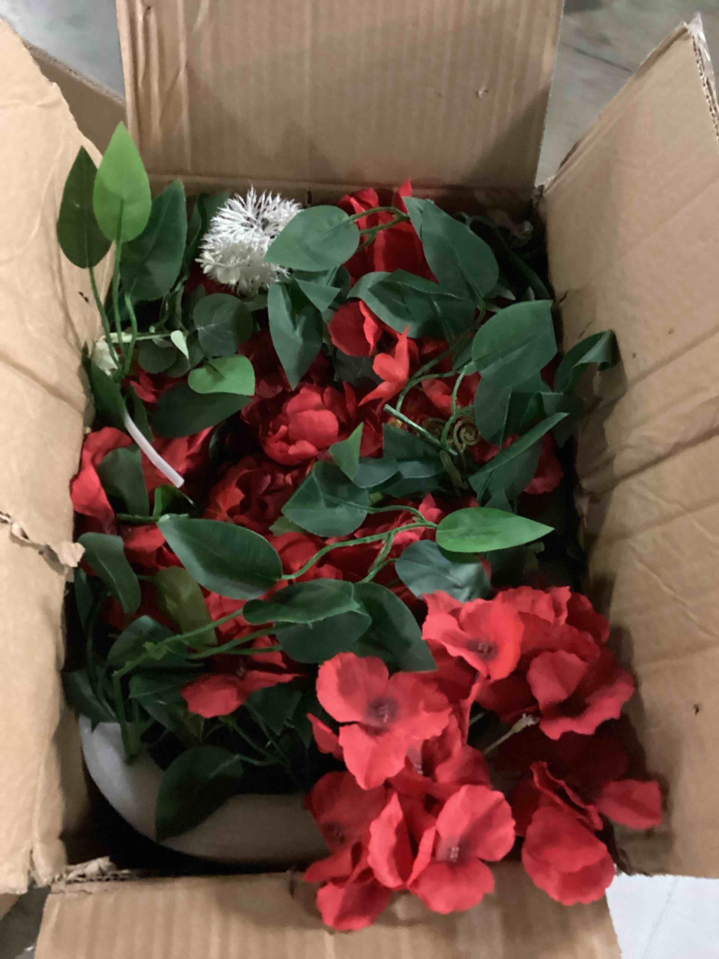 https://s3.amazonaws.com/lotting-images-prod/bidfta/RED5519656_1727896583255.jpeg