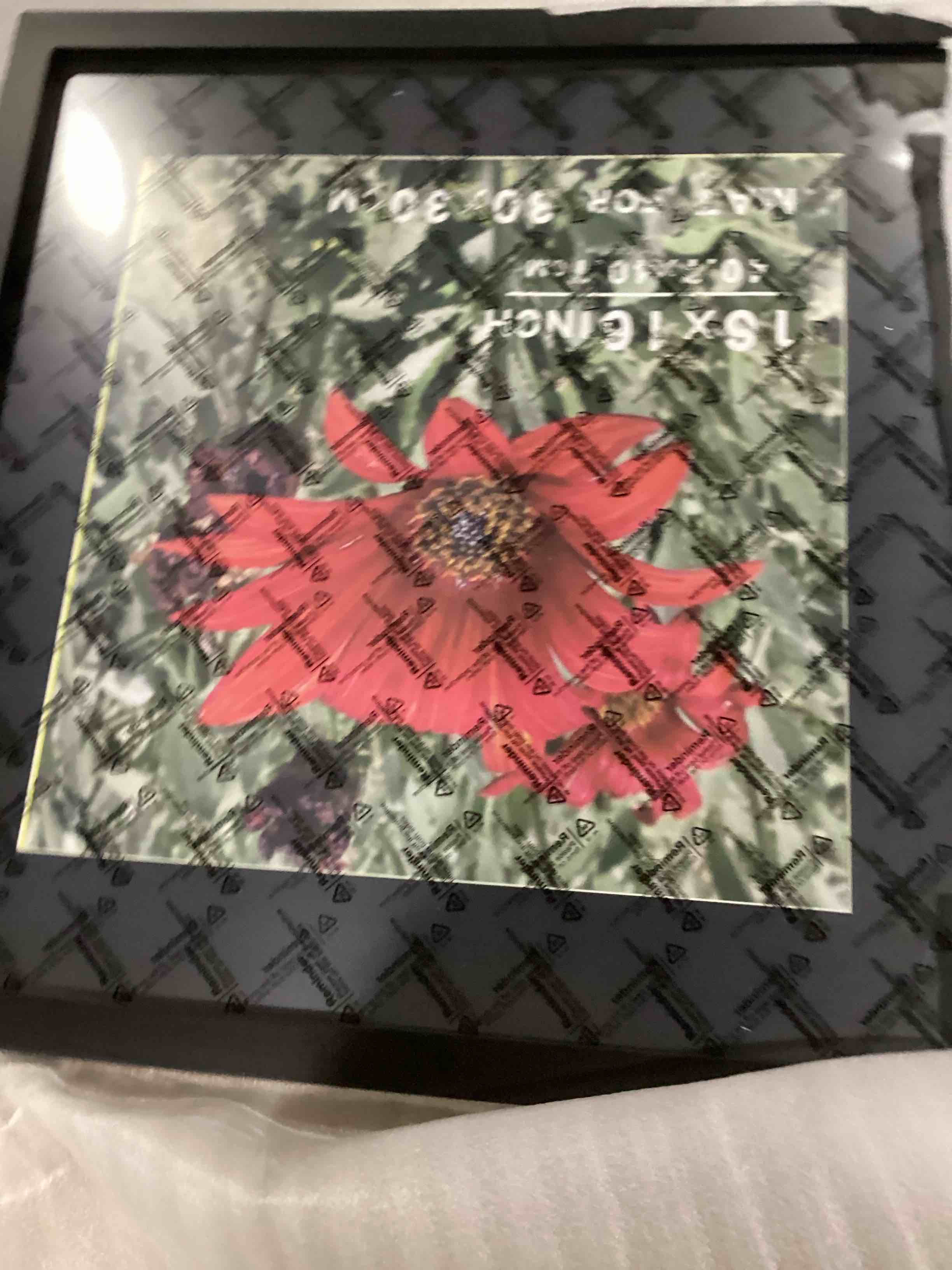 https://s3.amazonaws.com/lotting-images-prod/bidfta/RED5520697_1727789322059.jpeg