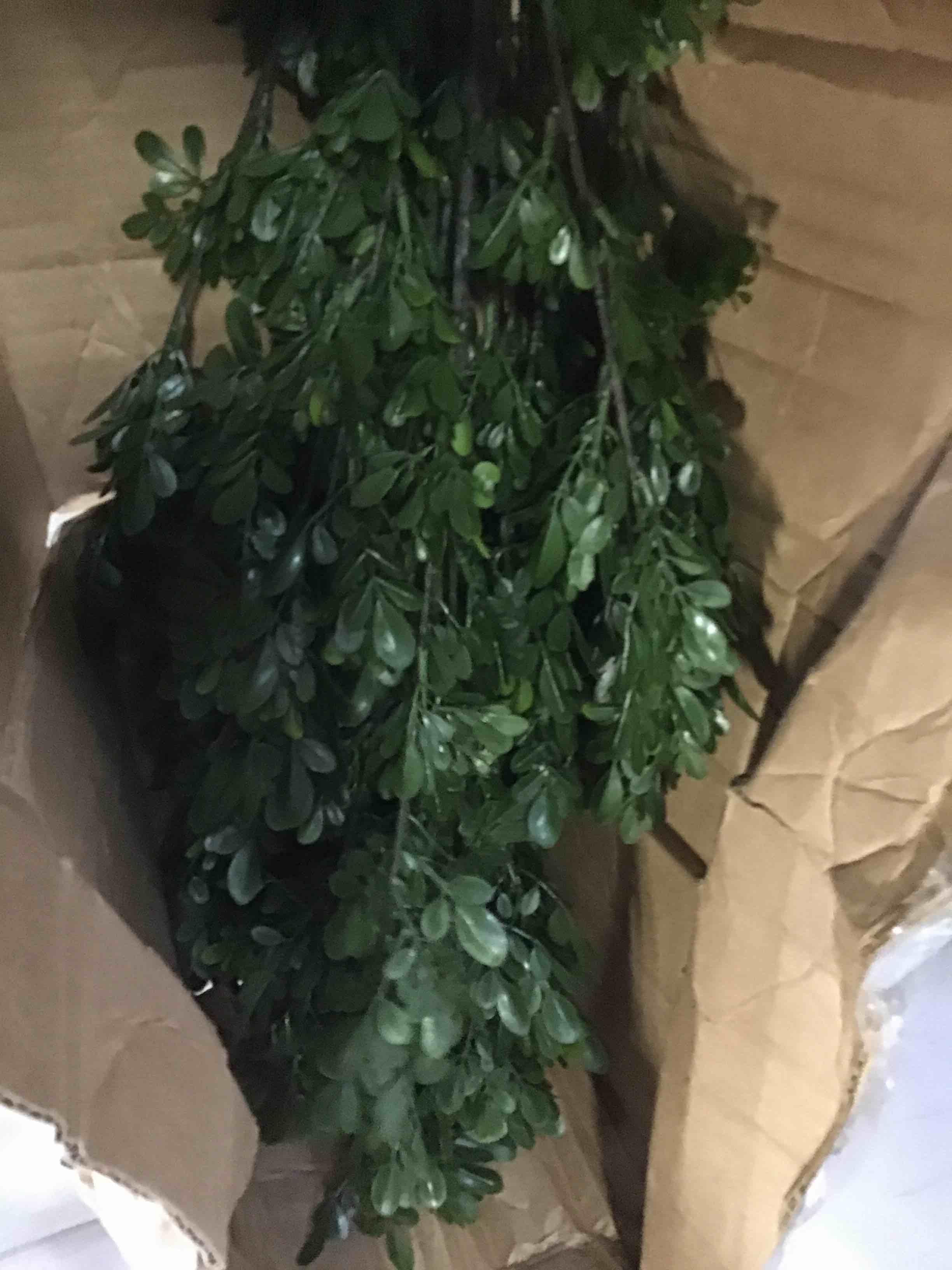 https://s3.amazonaws.com/lotting-images-prod/bidfta/RED5543939_1699637742919.jpeg