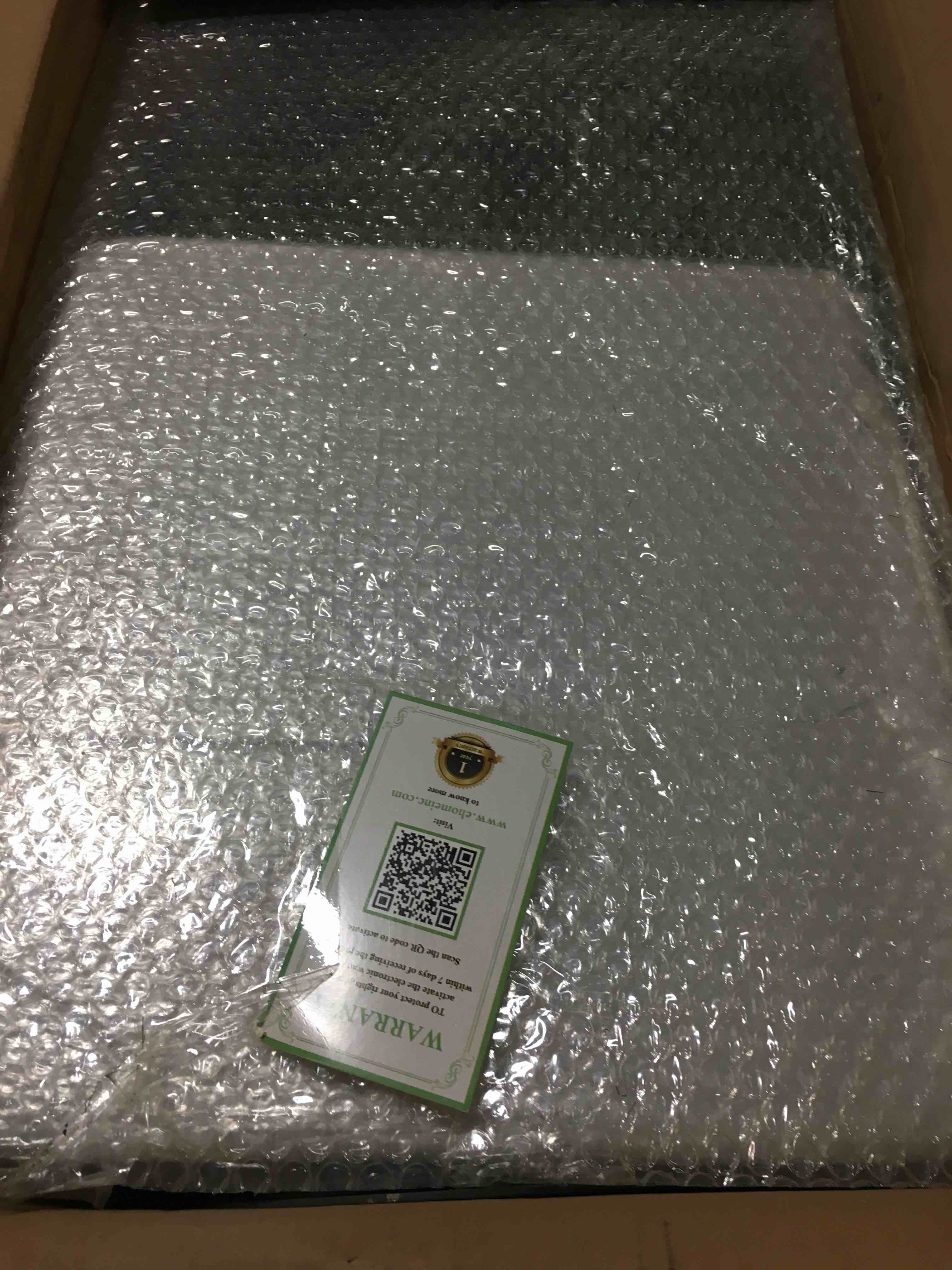 LIGHTSHARE JTDC240V0250CLightshare Lighted Palm Tree, Large ZLS7FT