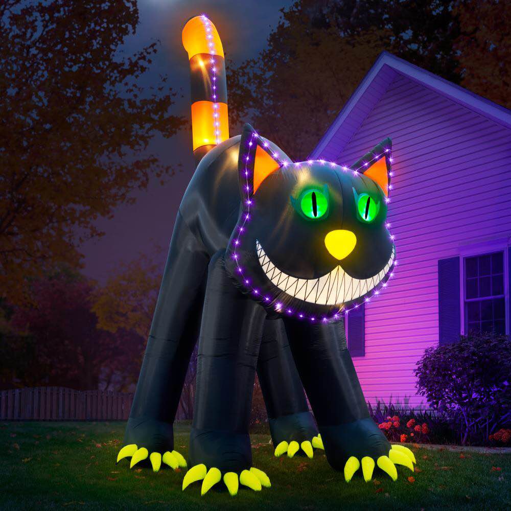 The 17' Blinking Black Cat