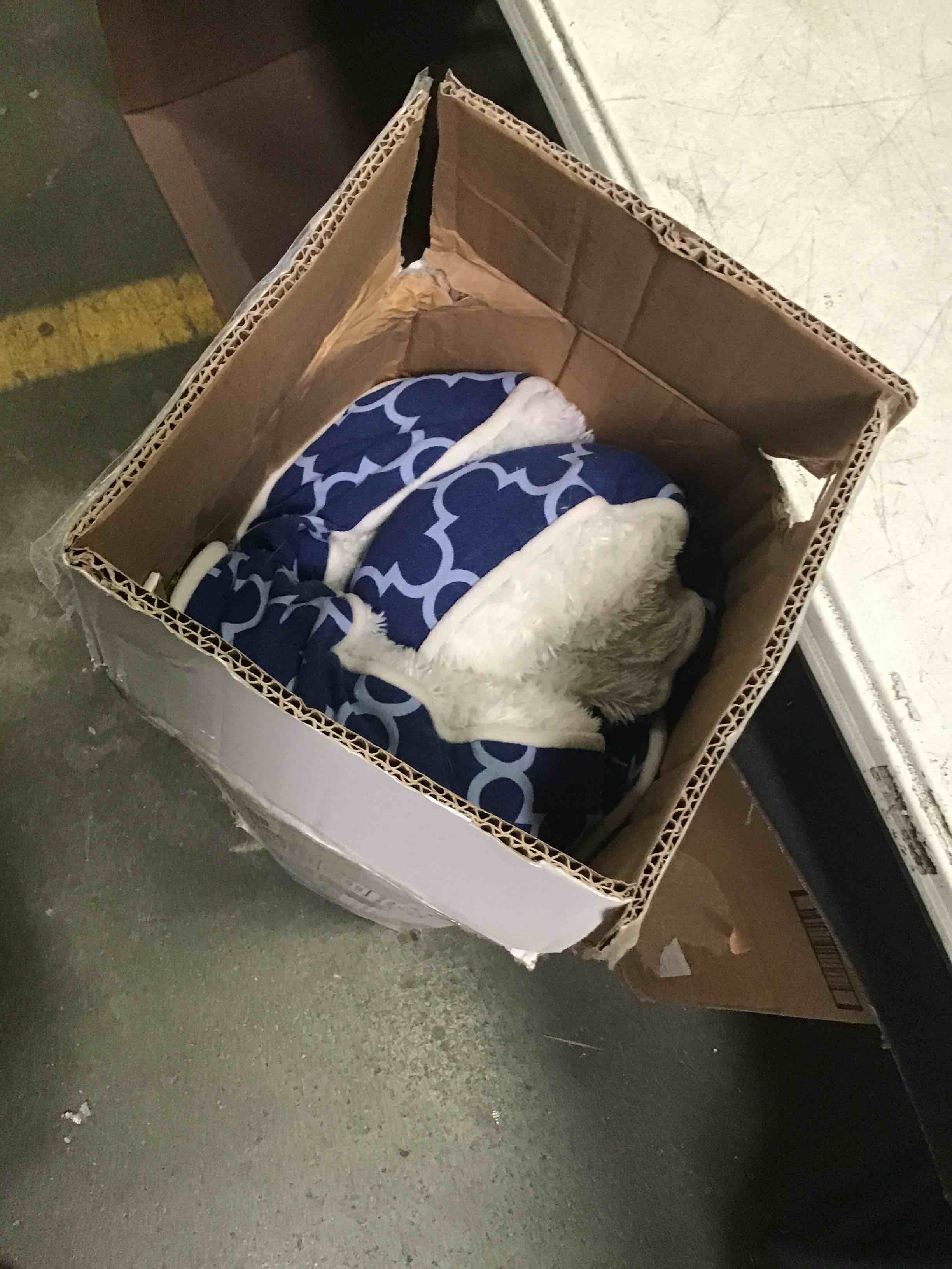 https://s3.amazonaws.com/lotting-images-prod/bidfta/RED5587148_1696345093037.jpeg