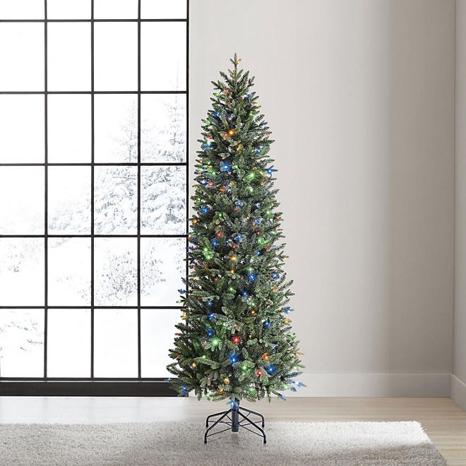 Members Mark 7-Foot Pre-Lit Dawson Pine Tree.