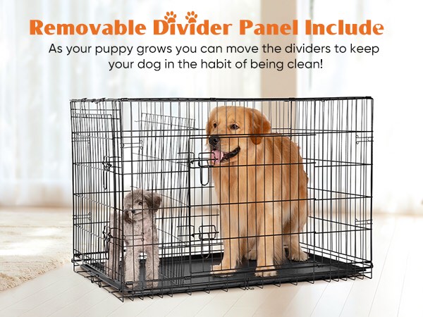 Sweetcrispy Dog Crate, 24 Inch Double Door Dog Cage with Divider Panel and Plastic Leak-Proof Pan Tray, Folding Metal Wire Pet Kennel for Indoor, Outdoor, Travel