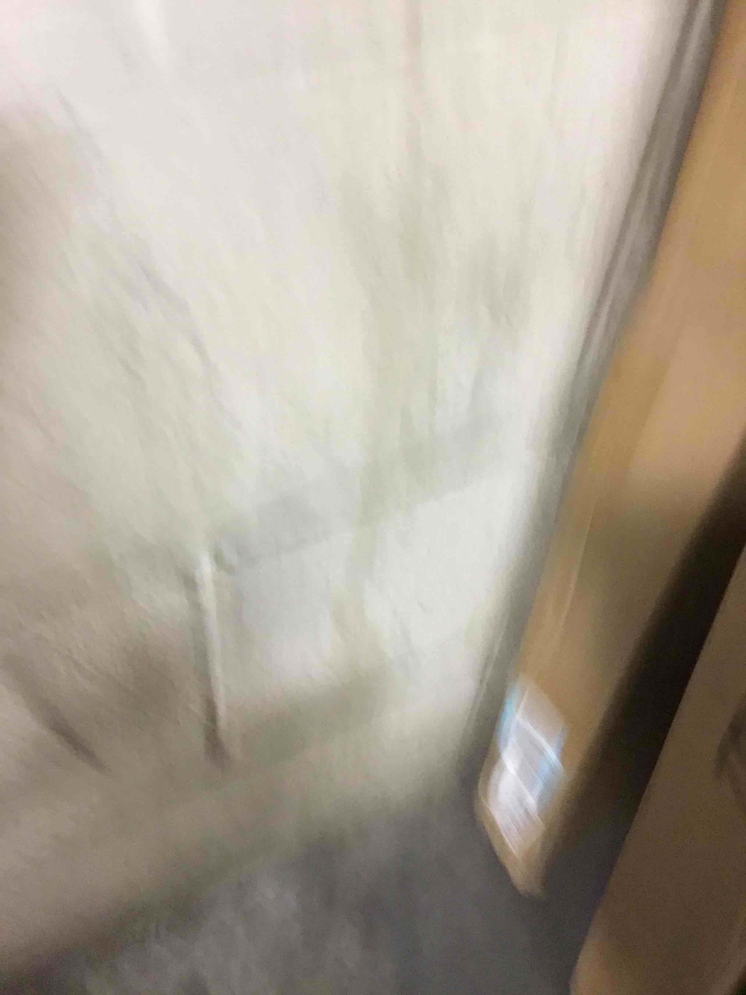 https://s3.amazonaws.com/lotting-images-prod/bidfta/RED5642914_1707744069062.jpeg