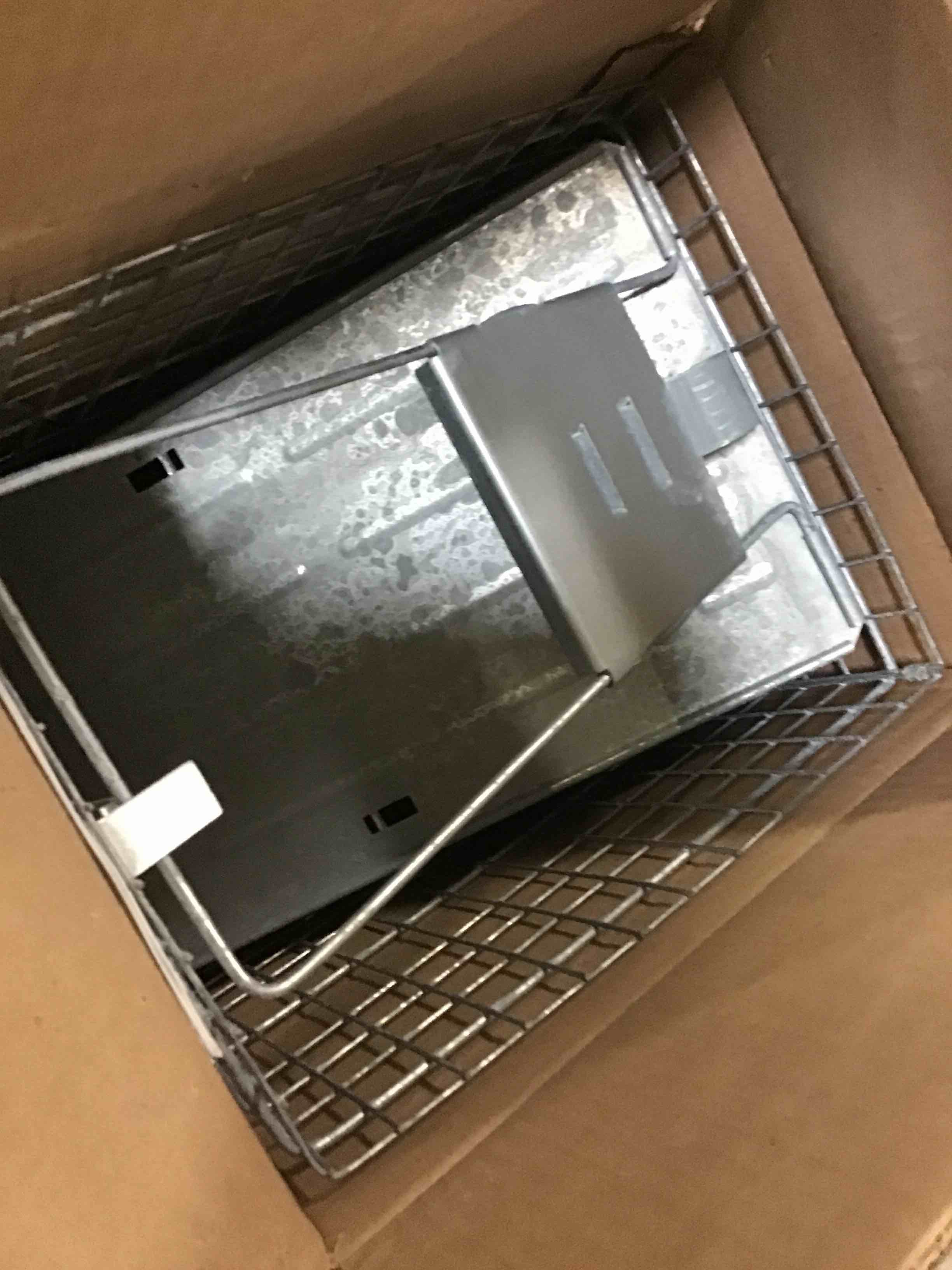 https://s3.amazonaws.com/lotting-images-prod/bidfta/RED5664456_1696251123637.jpeg