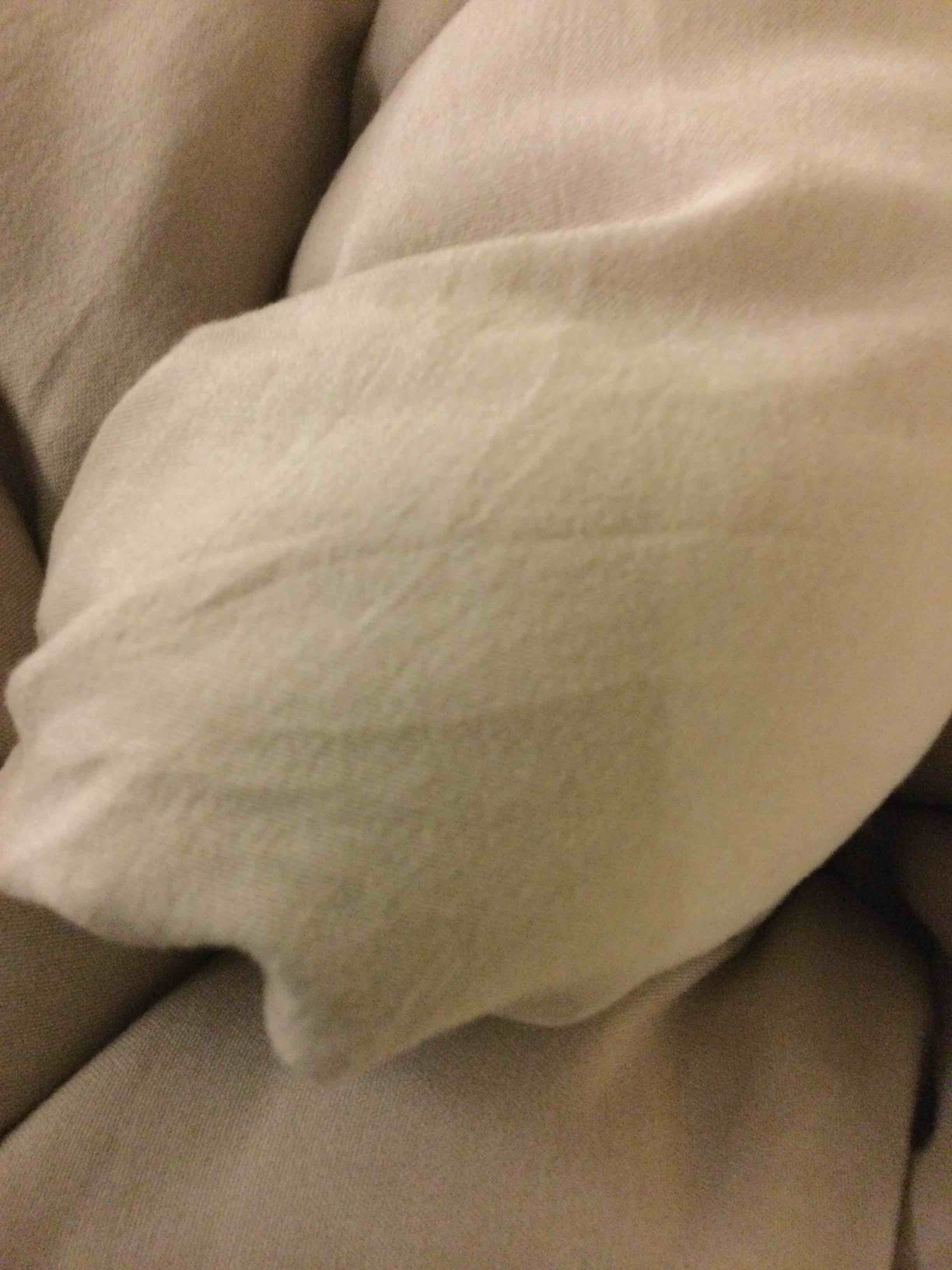 beige comforter