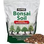 bonsai soil, 2 qts