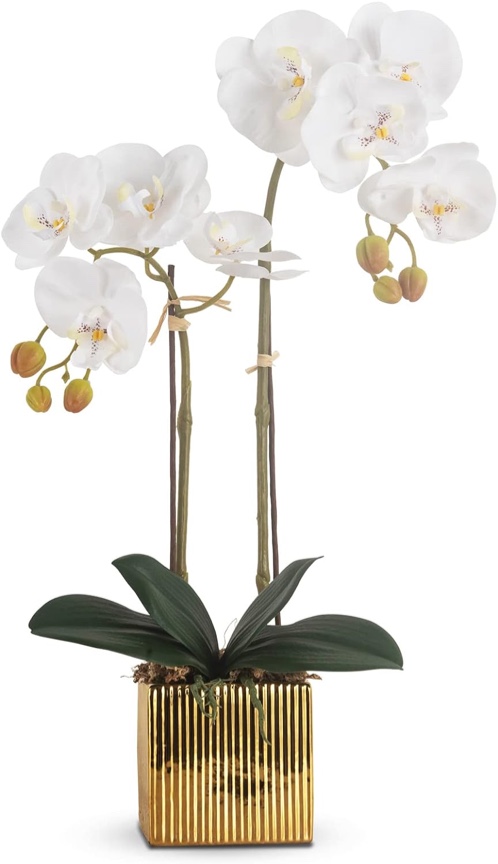 Ziwon Artificial Orchid Flowers Potted in Ceramic Pot, White Faux Phalaenopsis Orchids for Table Centerpiece, Realistic Fake Flower in vase for Home Office Decor Indoor Roll over image to zoom in Ziwon Artificial Orchid Flowers Potted in Ceramic Pot, White Faux Phalaenopsis Orchids for Table Centerpiece, Realistic Fake Flower in vase for Home Office Decor Indoor