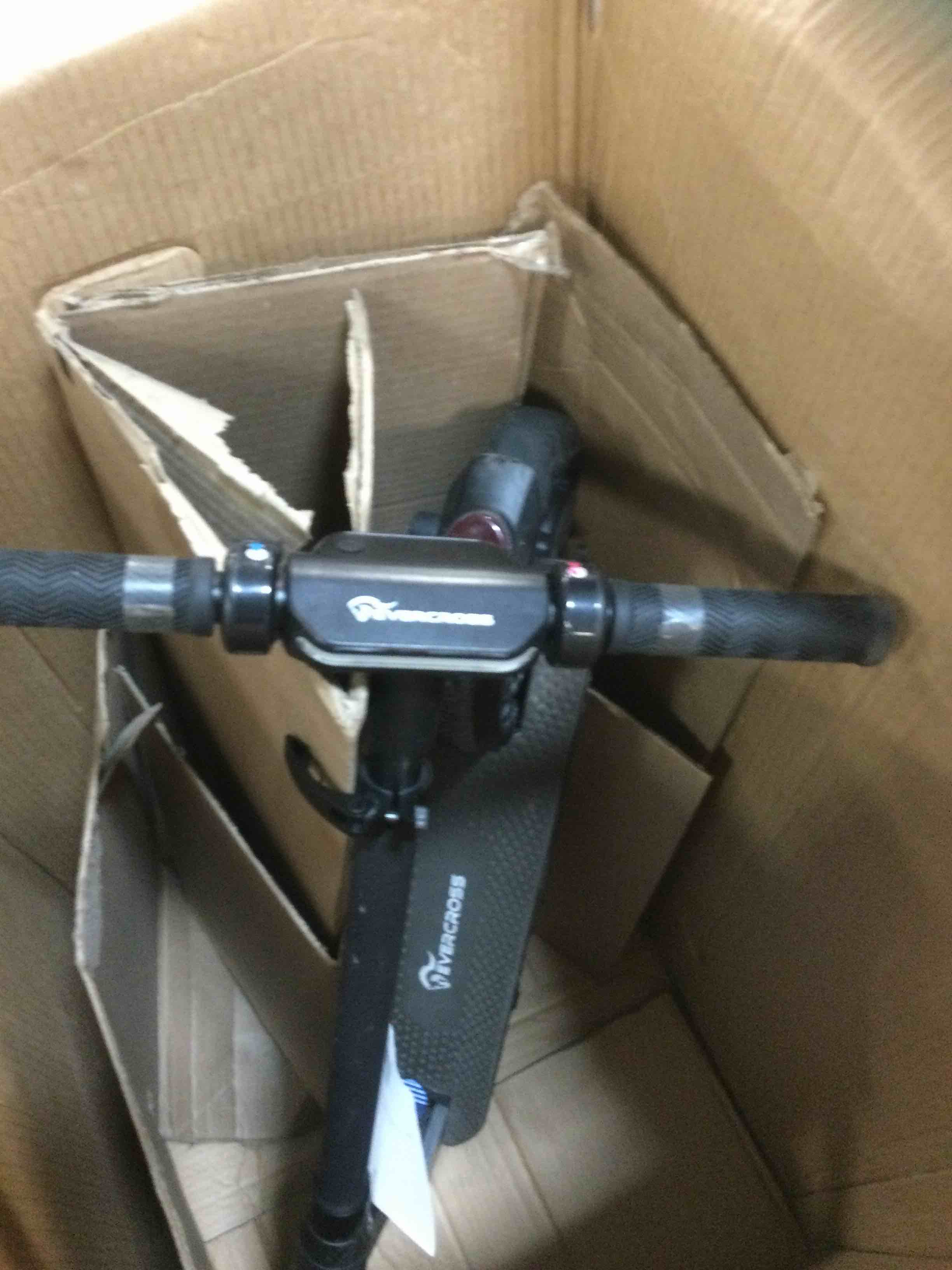 https://s3.amazonaws.com/lotting-images-prod/bidfta/RED5798834_1704383738019.jpeg