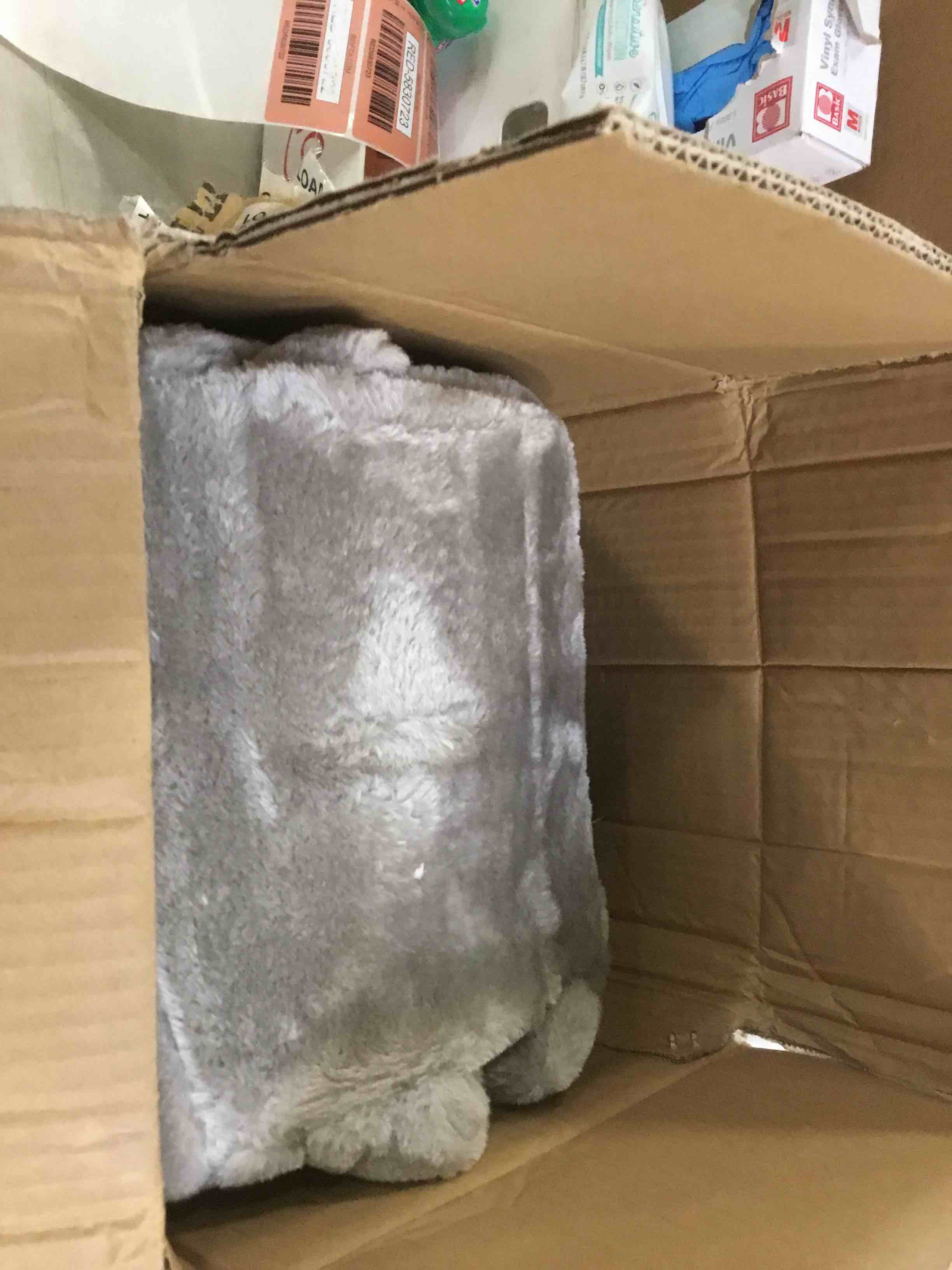 https://s3.amazonaws.com/lotting-images-prod/bidfta/RED5830722_1708548265473.jpeg