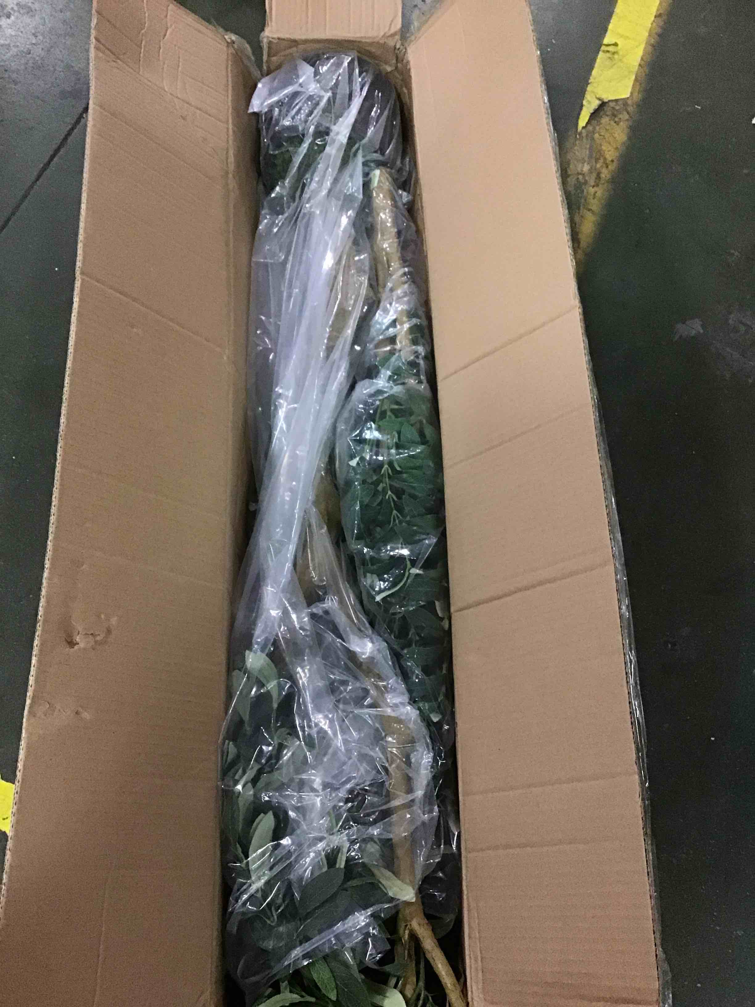 https://s3.amazonaws.com/lotting-images-prod/bidfta/RED5841320_1706037962379.jpeg