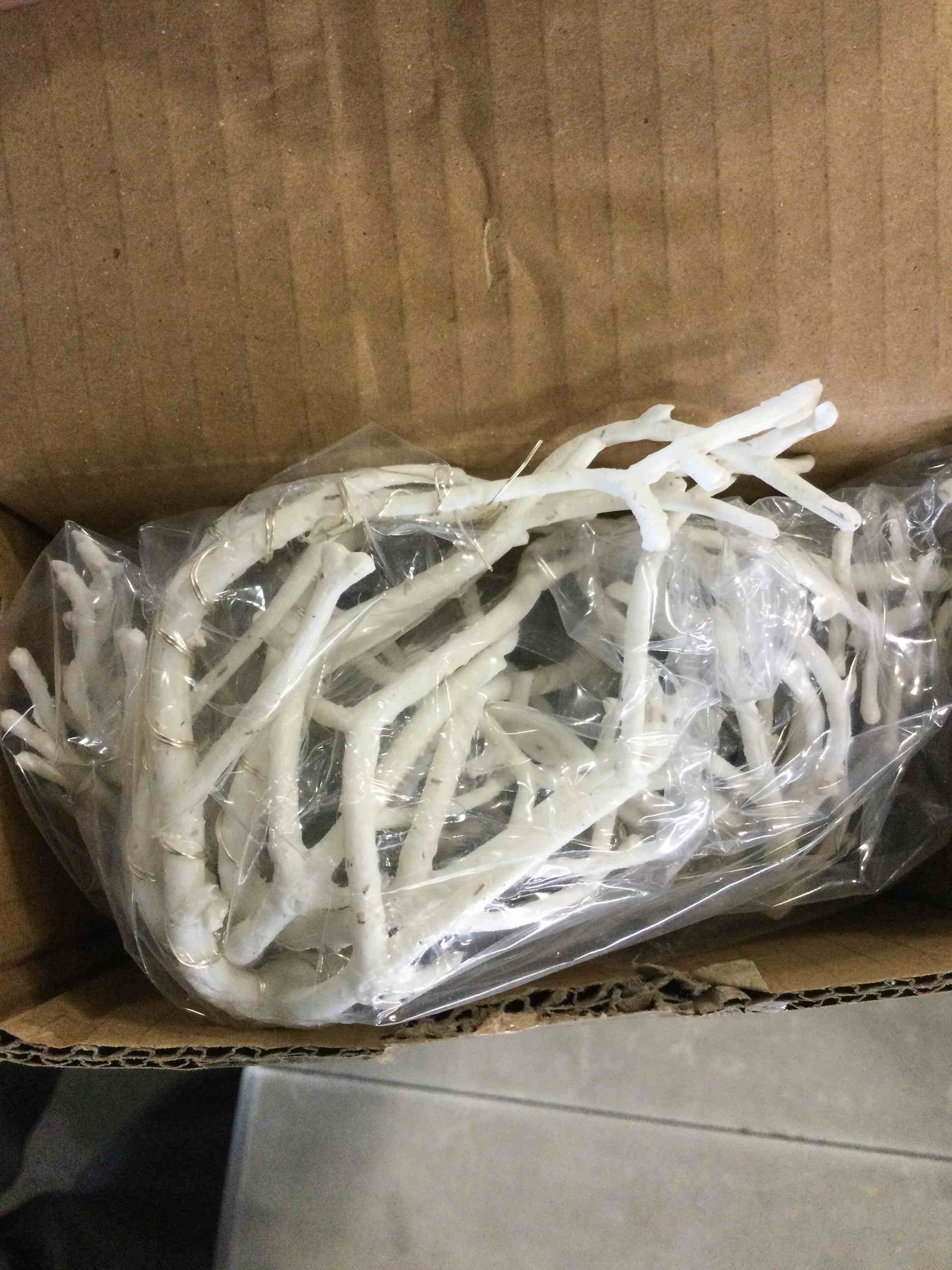 https://s3.amazonaws.com/lotting-images-prod/bidfta/RED5841818_1707420377058.jpeg