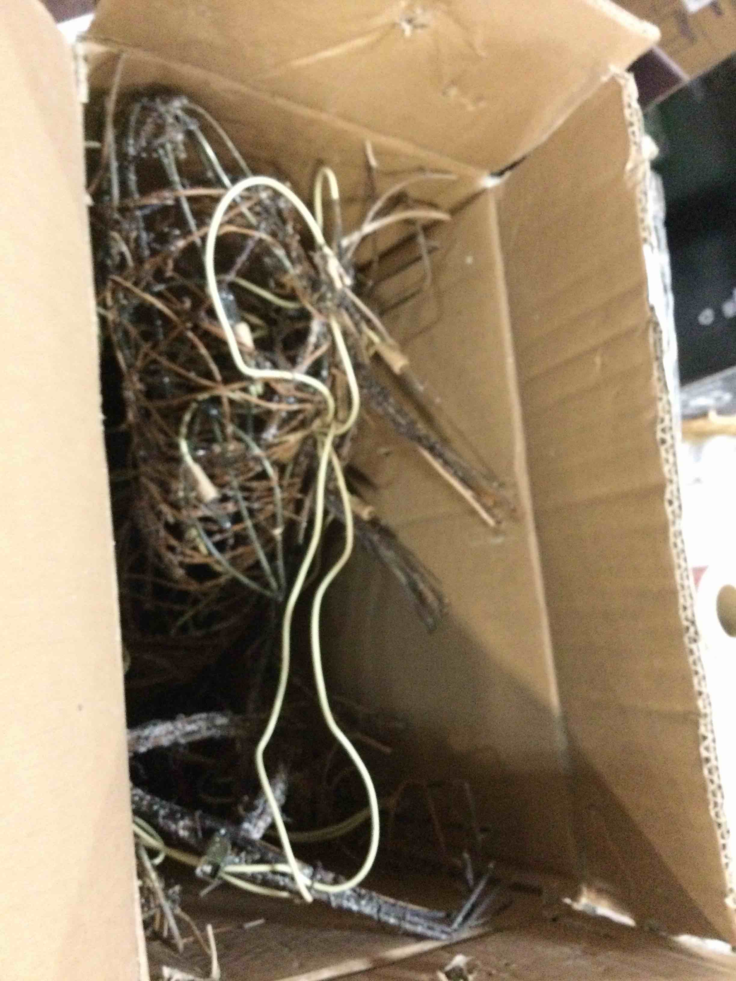 https://s3.amazonaws.com/lotting-images-prod/bidfta/RED5867752_1708788828190.jpeg