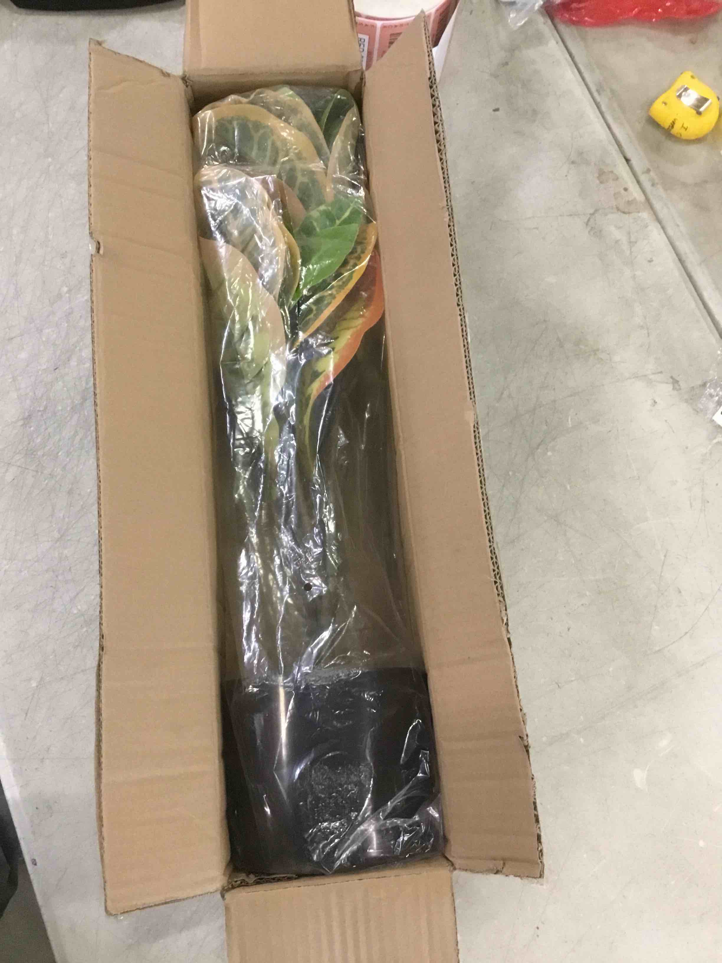 https://s3.amazonaws.com/lotting-images-prod/bidfta/RED5900098_1705502580855.jpeg