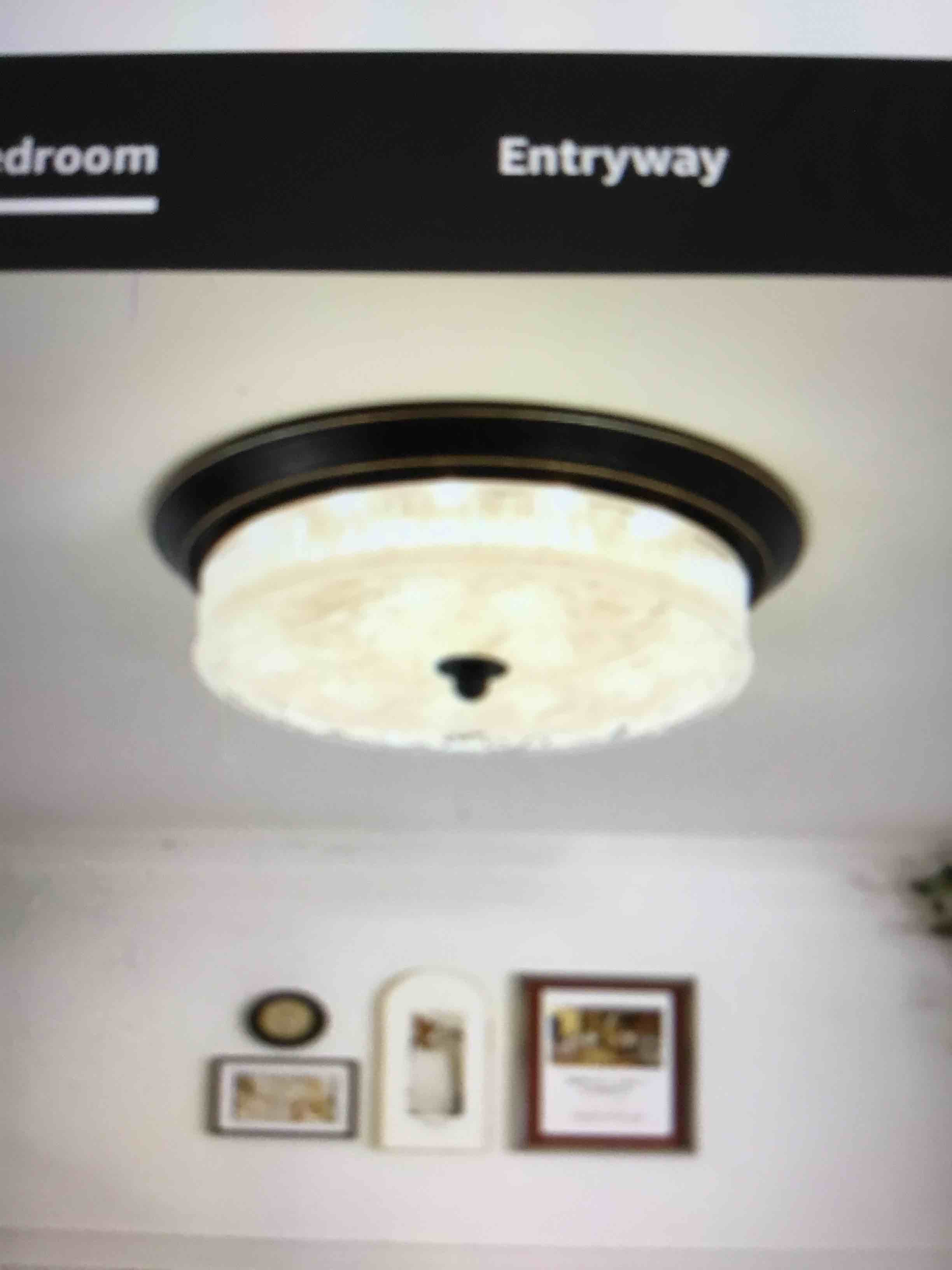Flush mount ceiling light fixture  24W flush mount