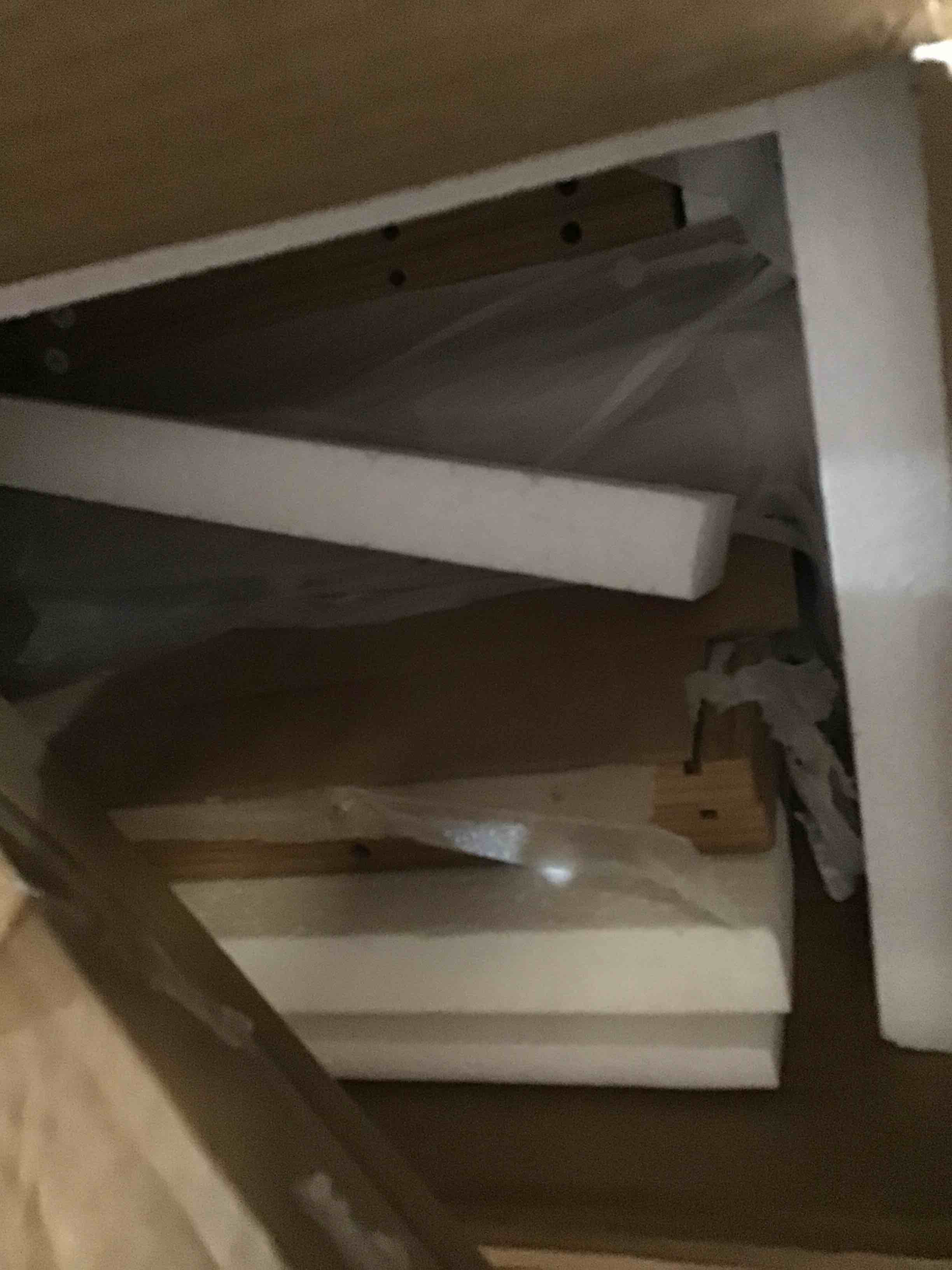 unknown stand 