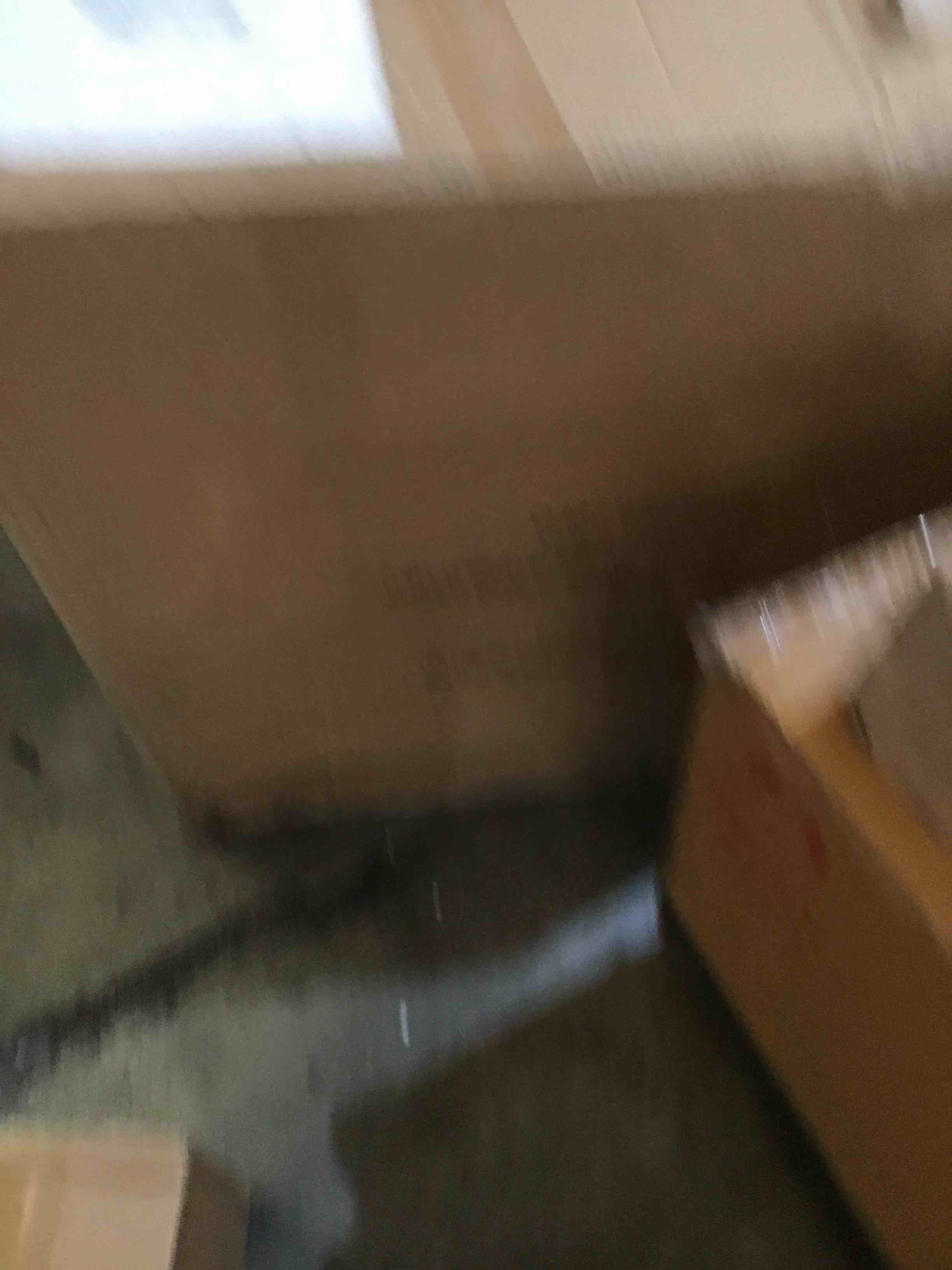 https://s3.amazonaws.com/lotting-images-prod/bidfta/RED5931918_1723732454214.jpeg